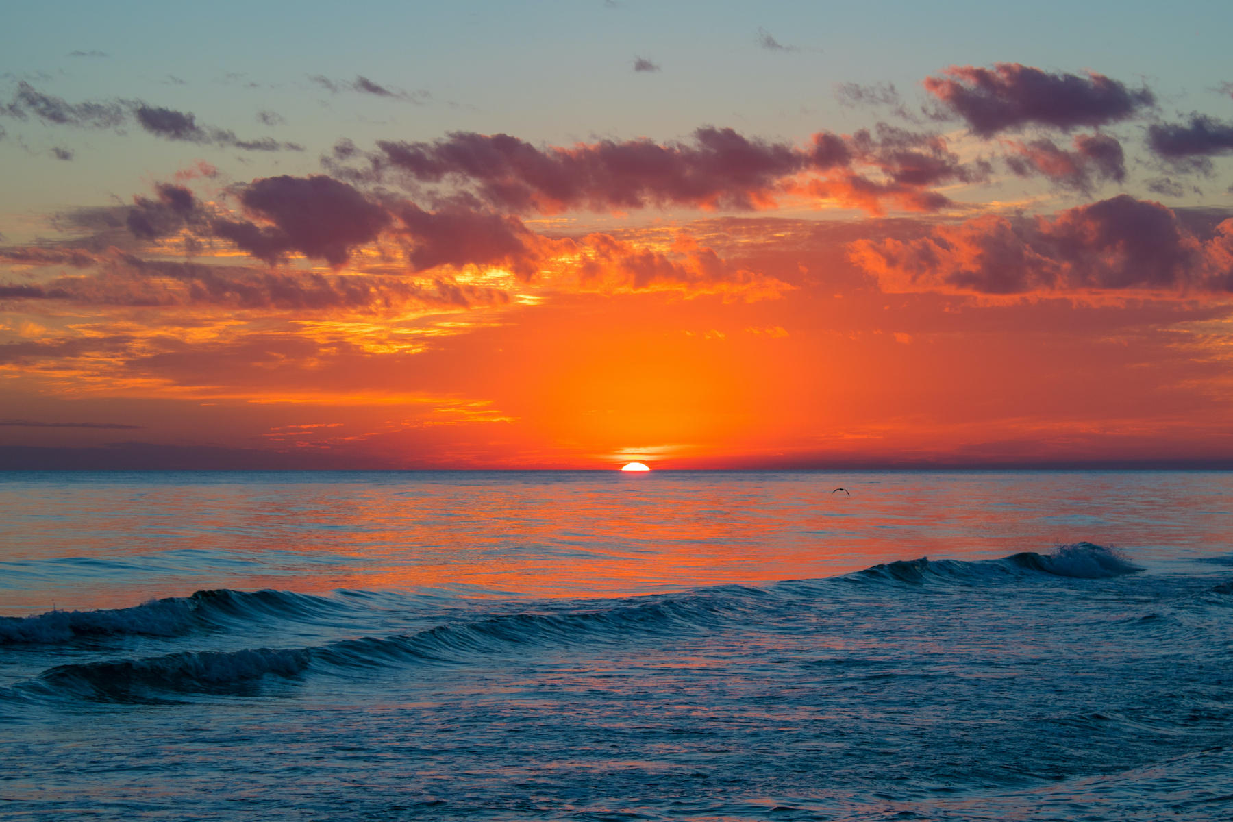 SEA OATS CONDO - Residential