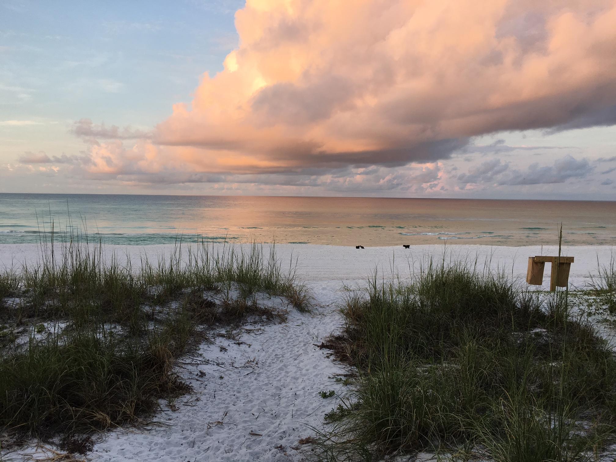 FRANGISTA BEACH - Land