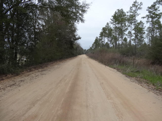 Partially cleared and level, with approximately 700 ft of road frontage; Perfect for your home site with potential income for sale of timber. Seller inherited the property and has limited knowledge regarding access and property lines. Buyer to satisfy himself as to all information deemed pertinent. Written loan prequalification required for sale with financing. Written proof of funds required for cash sale.