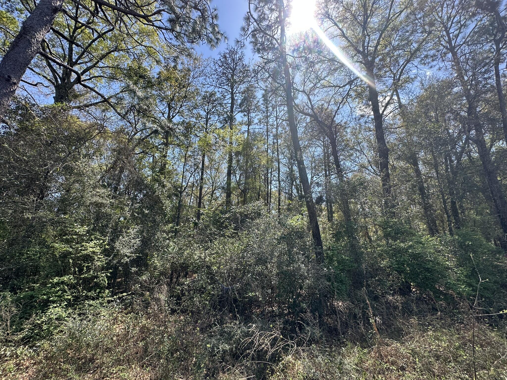 NO RECORDED SUBDIVISION - Land