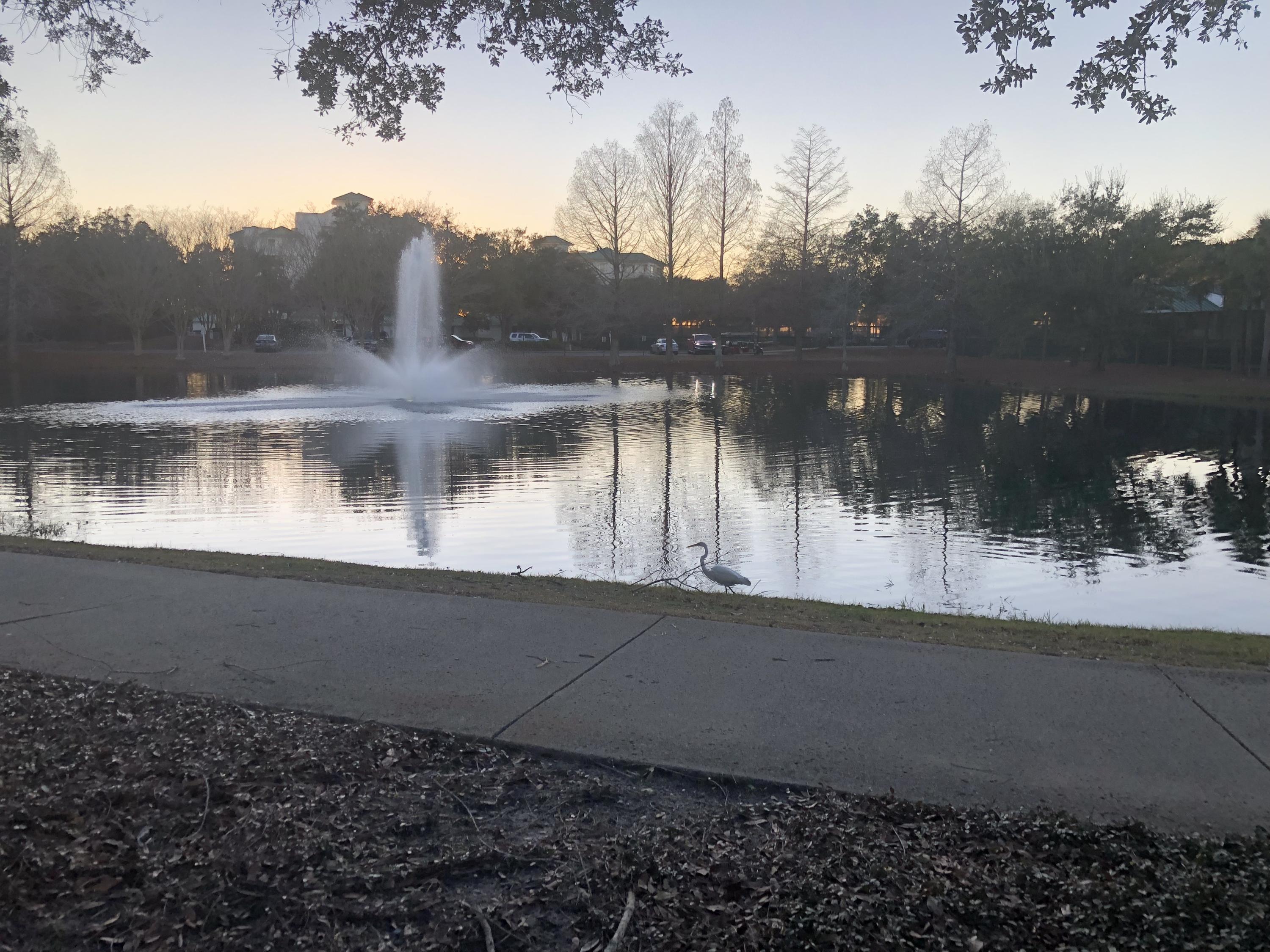 PILOT HOUSE - Residential