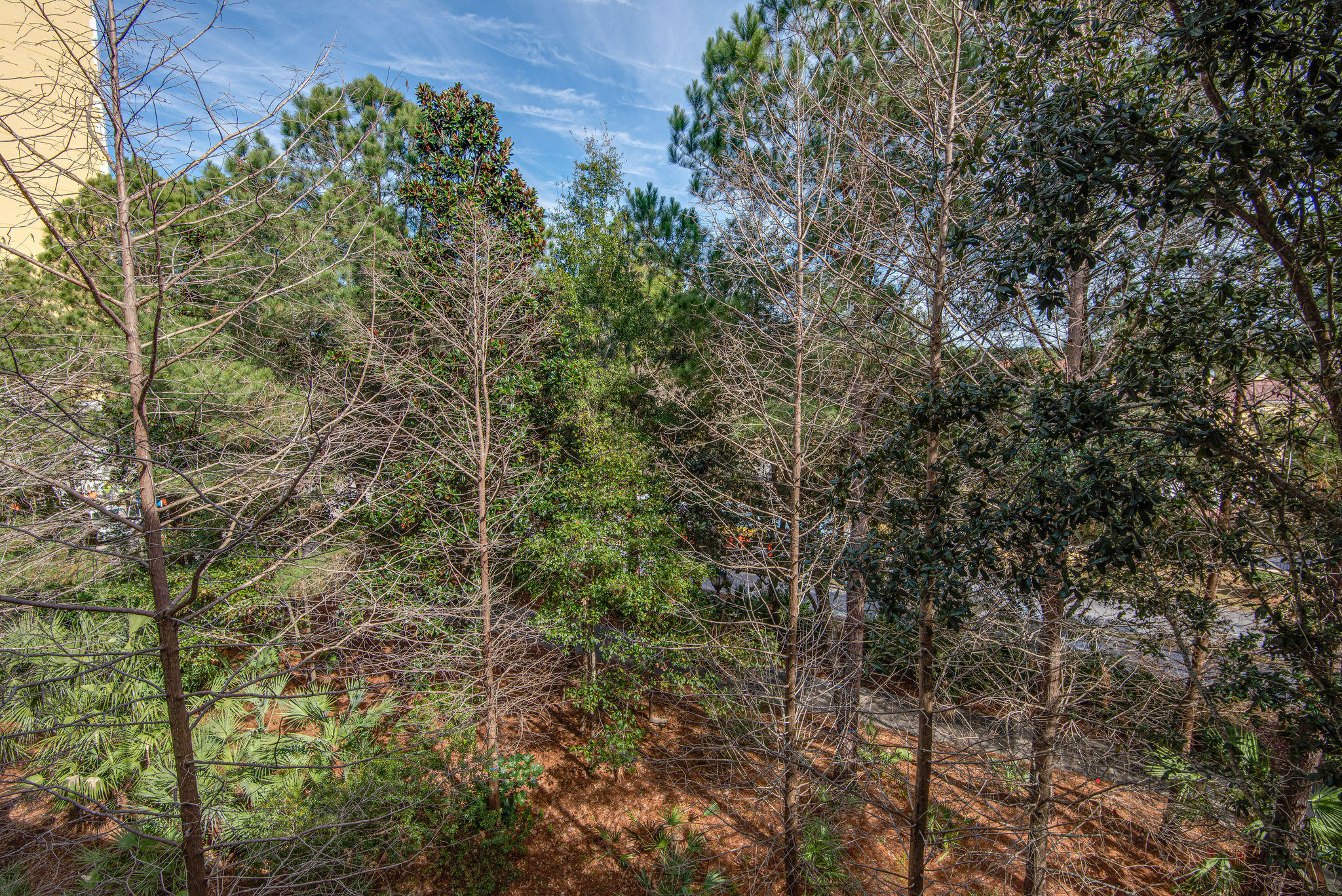 PILOT HOUSE - Residential