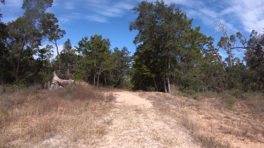 Build your DREAM HOME. Come out and view this great lot in the heart of Gulf Breeze. Minutes from the beach. Shopping right across 98. Buyer to verify all necessary information.