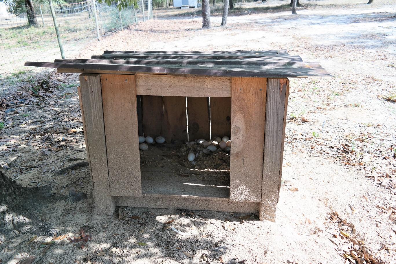 OAKWOOD HILLS UNIT 1 - Residential