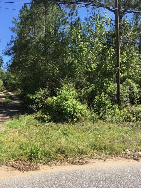 Nice corner lot in quiet private area with deeded access to Blackwater Bay for Bon Bay Homeowners.