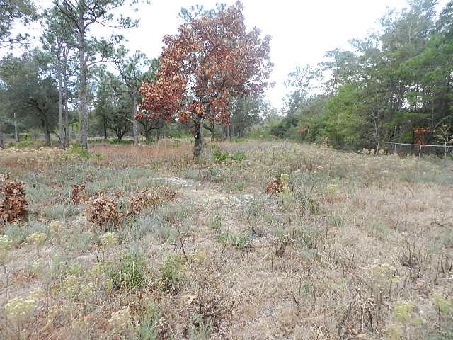 Clean, great elevation, no wet-lands, perfectly buildable 1.08 acre lot. R1 zoned - mixed, horse-friendly area. Easy access from Hwy 98 to paved street location of the lot. Perfect for building a home: Tranquil neighborhood, no flood insurance, HOA Fees or restrictions. Lot has been maintained and improved by the owner. Enjoy the privacy of the area with no through traffic, the space and place to enjoy the outdoors.