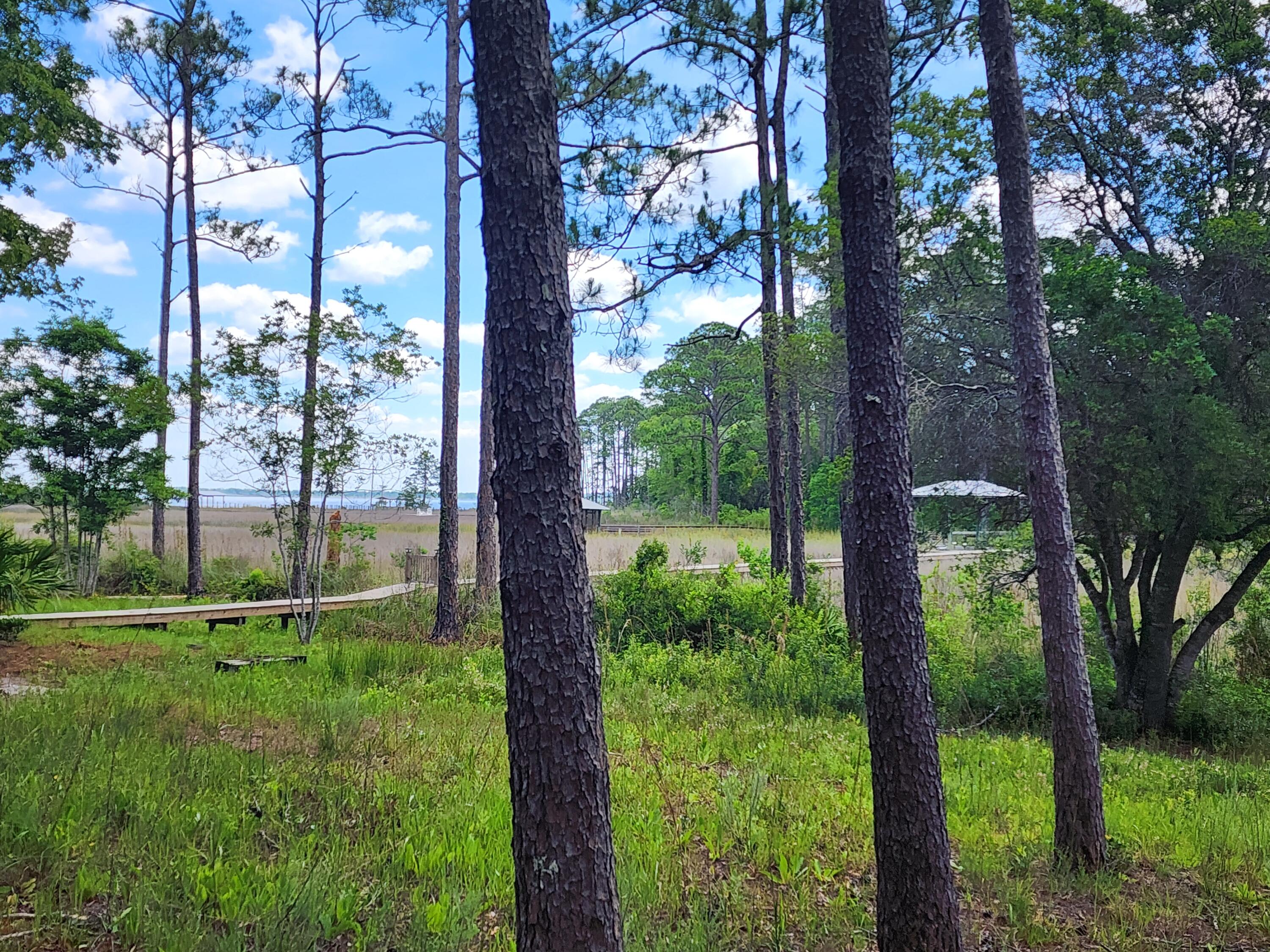 MAGNOLIA BEACH - Land