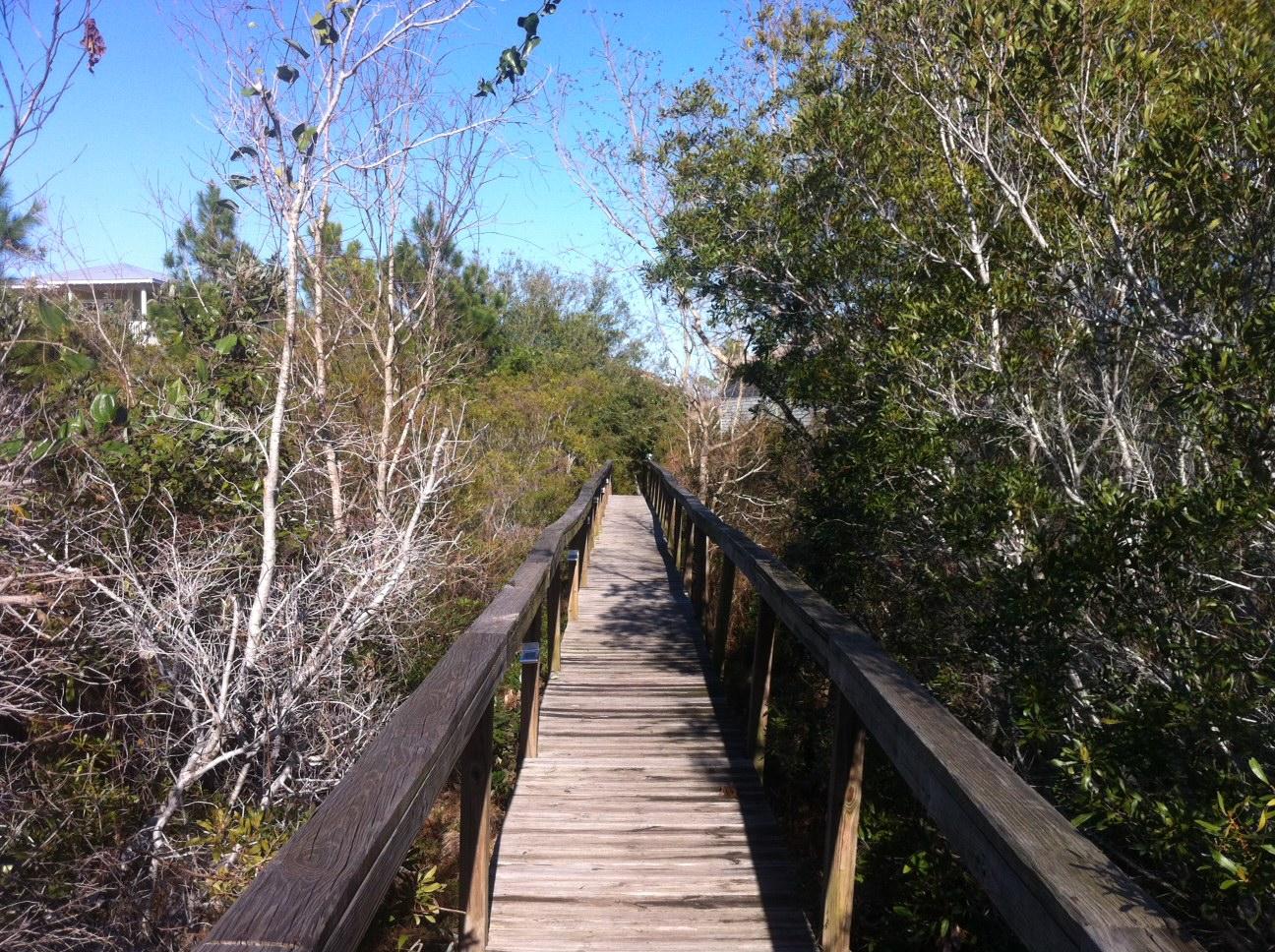 SPARKLING WATERS - Land