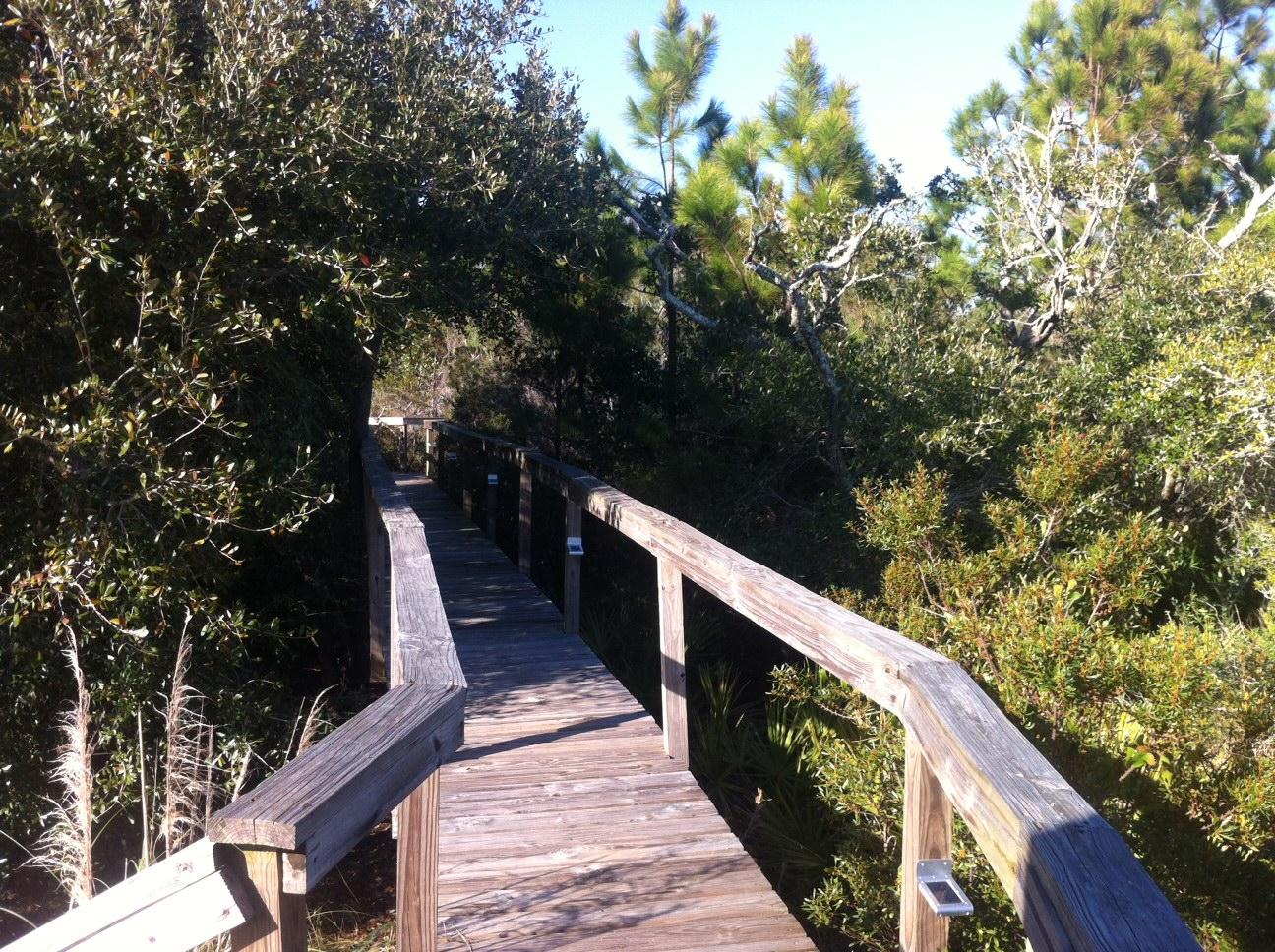 SPARKLING WATERS - Land