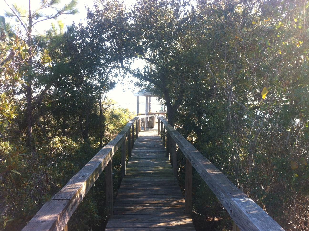 SPARKLING WATERS - Land