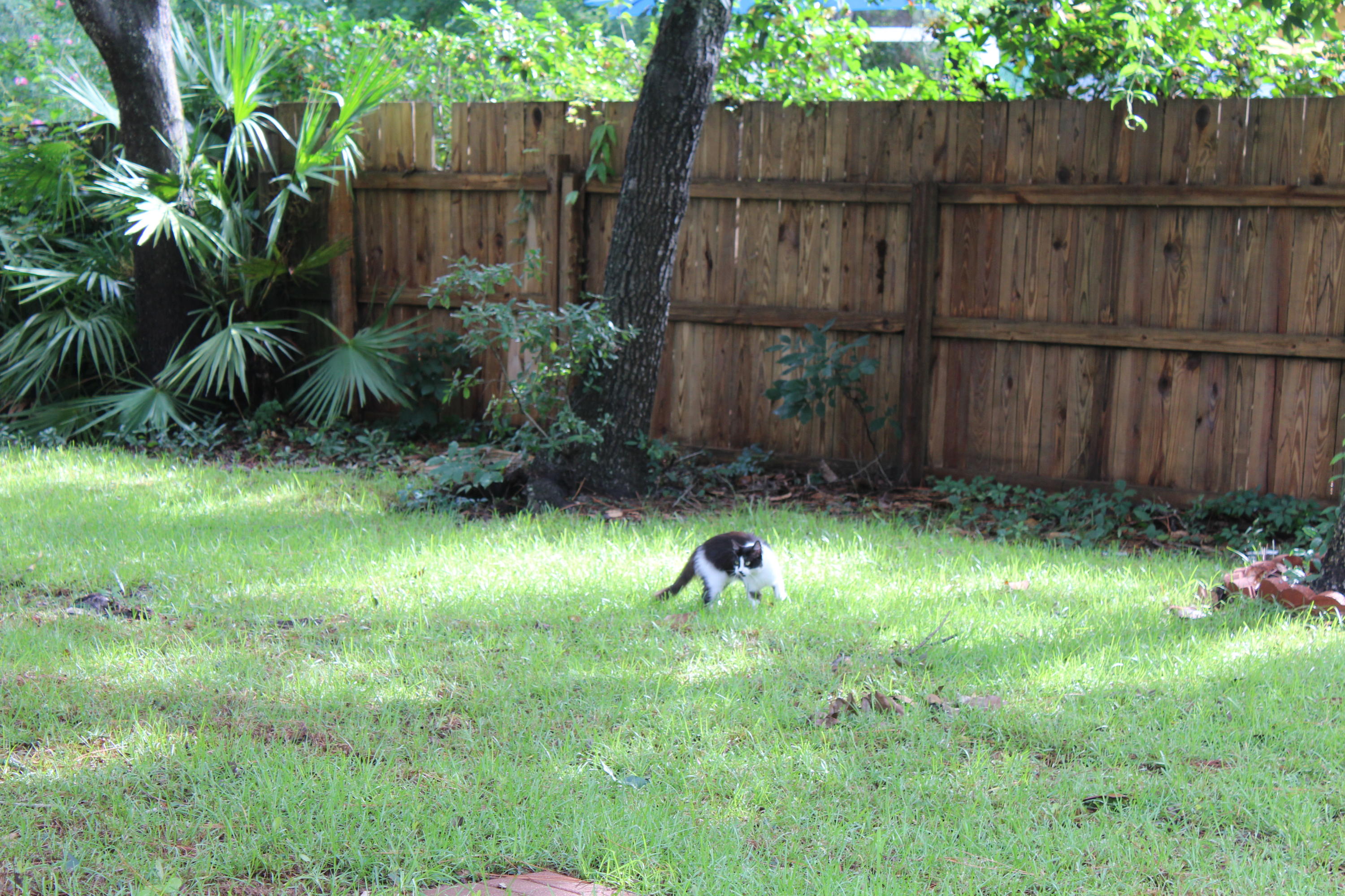 PORT DIXIE - Residential