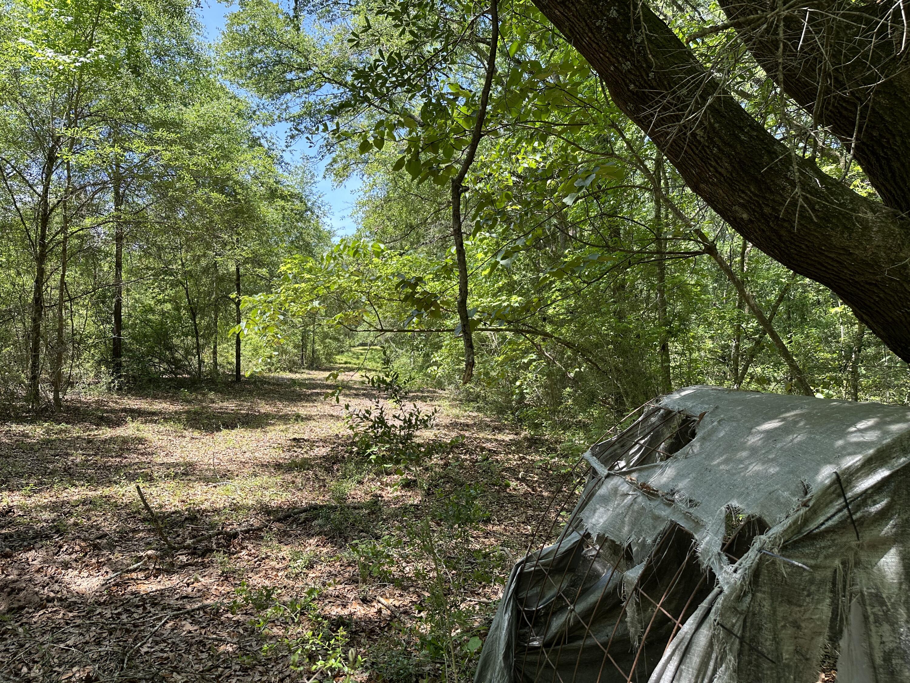 METES & BOUNDS - Land