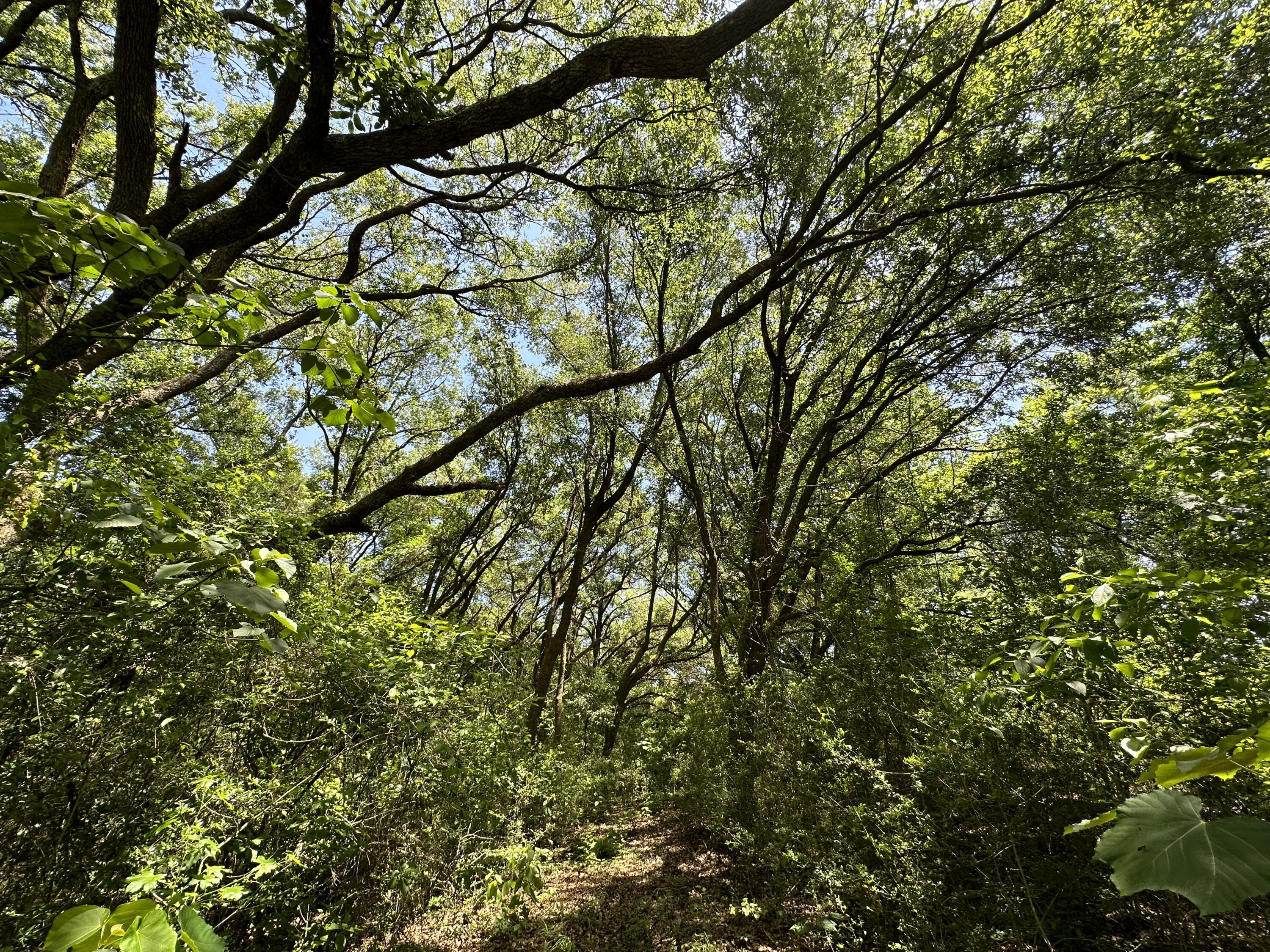 METES & BOUNDS - Land