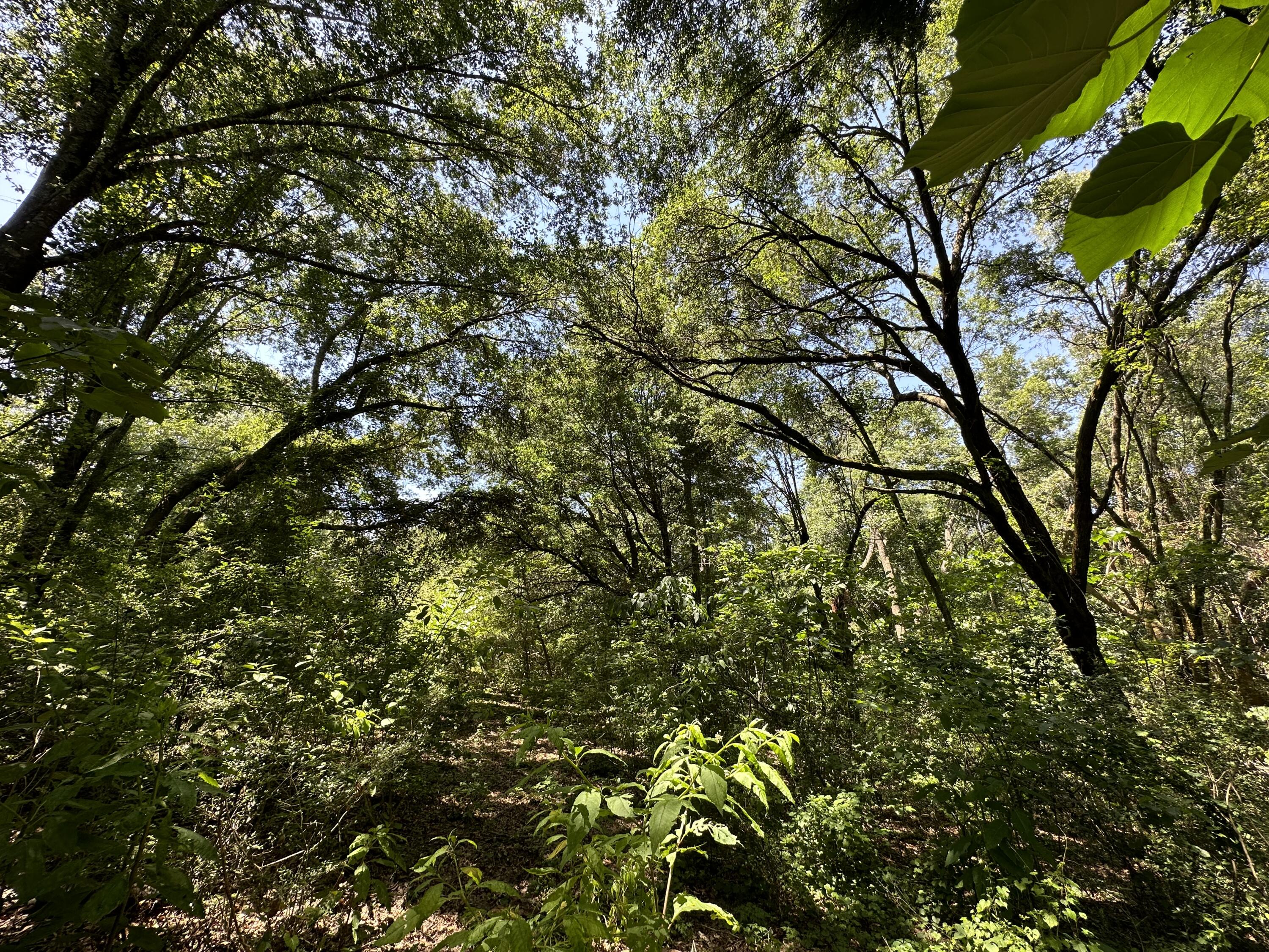 METES & BOUNDS - Land