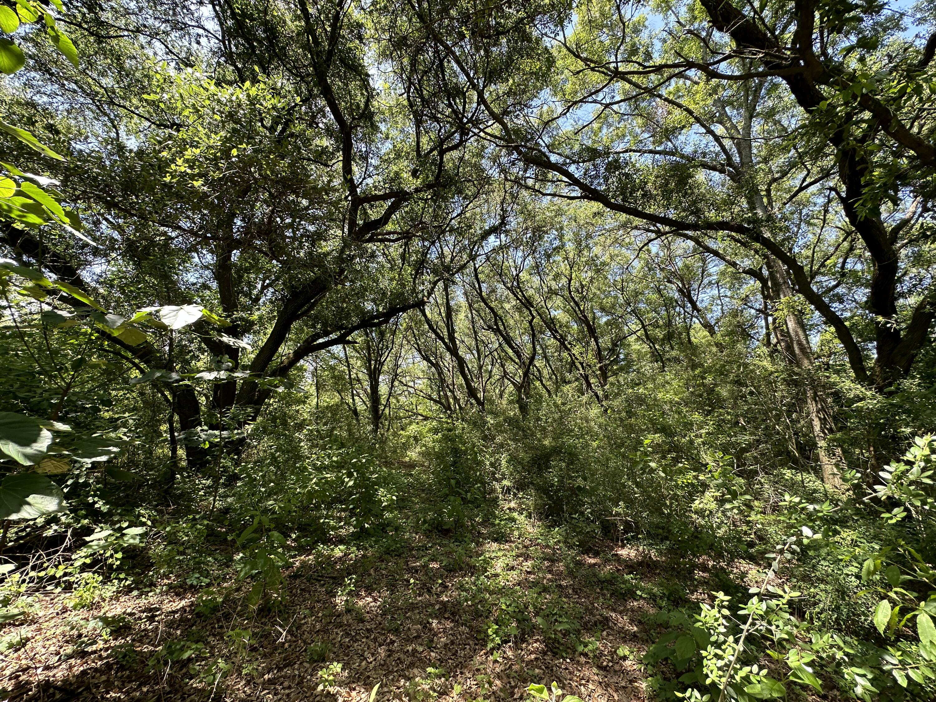 METES & BOUNDS - Land