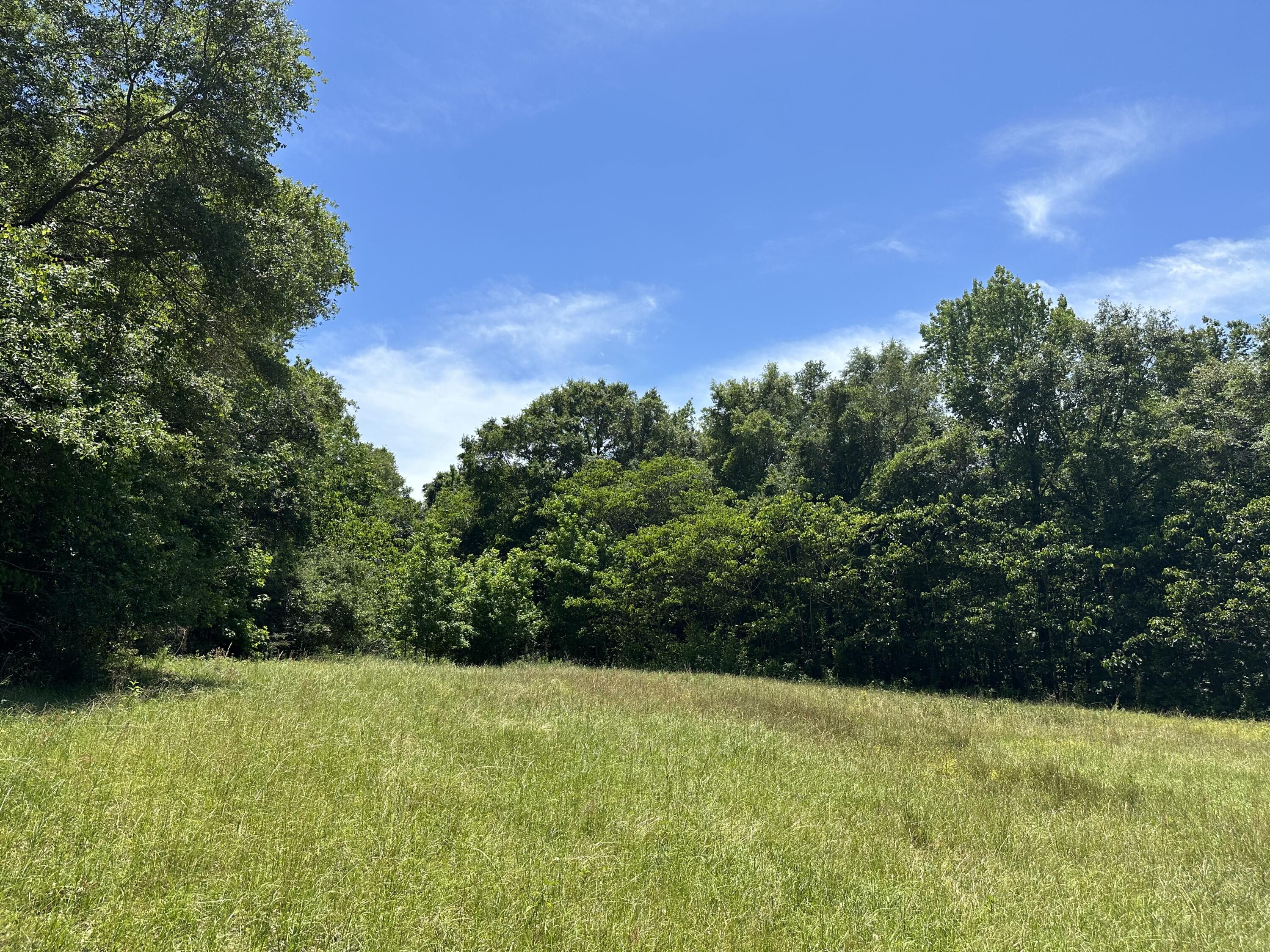 WOW!!! What a view to wake up to every morning! Talk about breath taking! Photos do not give justice, these Mature Oak trees give life to this property. 10+/ Acres of Prime Agricultural zoned land, was once used for row crops years ago can now be the perfect location for your new home. Easy access to hwy 2, hwy 85 and just a short drive to the Fl/AL stateline.