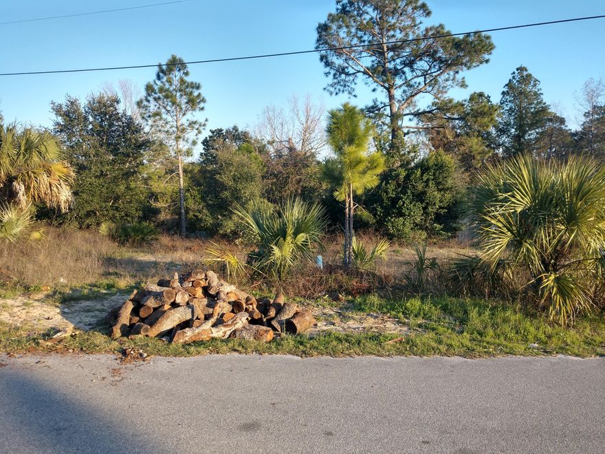 Great lot inside the city limits of PCB! You can build single family or multi-family.Walking distance to Pier Park, Library, and BEACH!