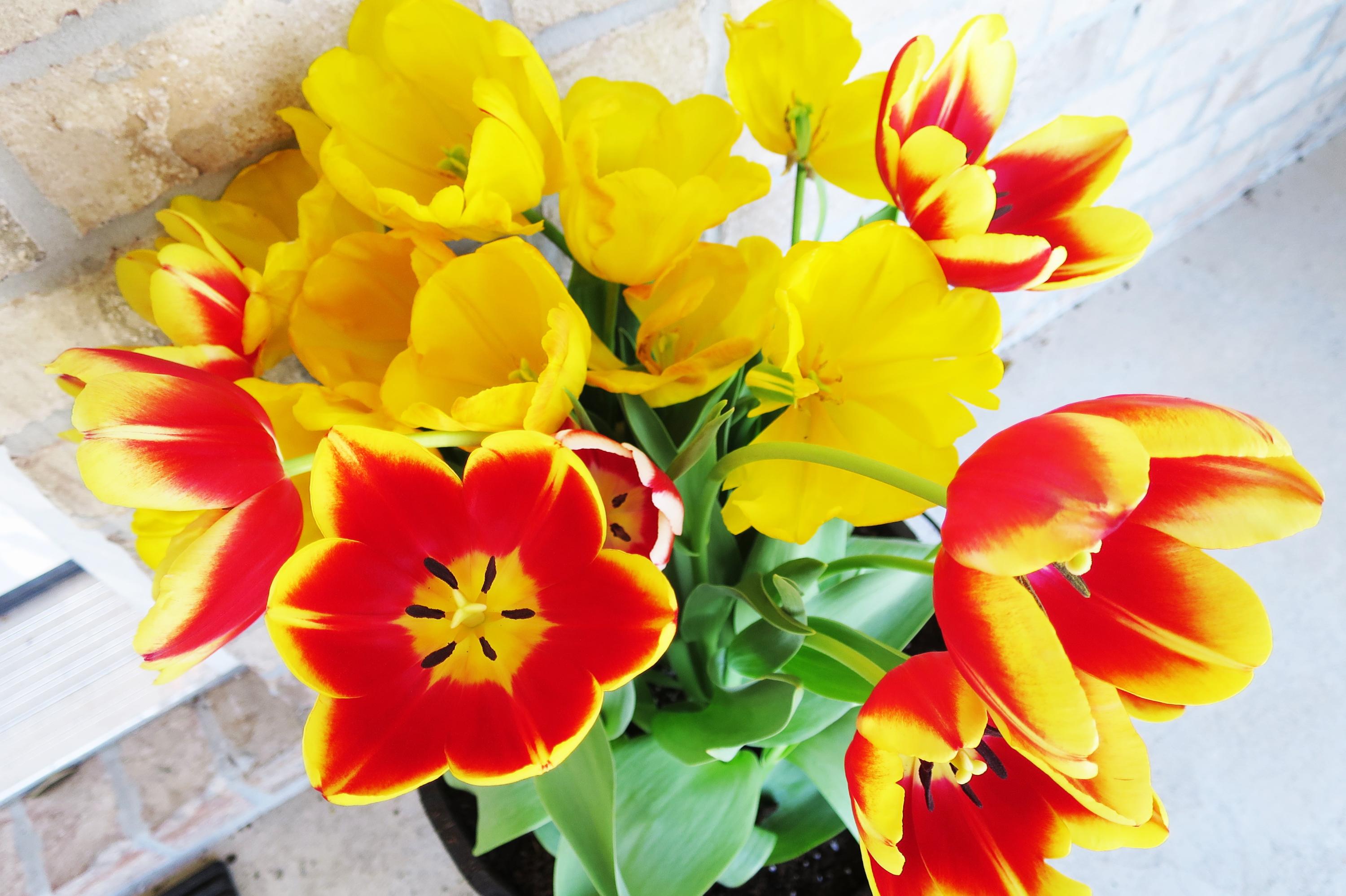 BAYOU WOODS 2ND ADDN - Residential