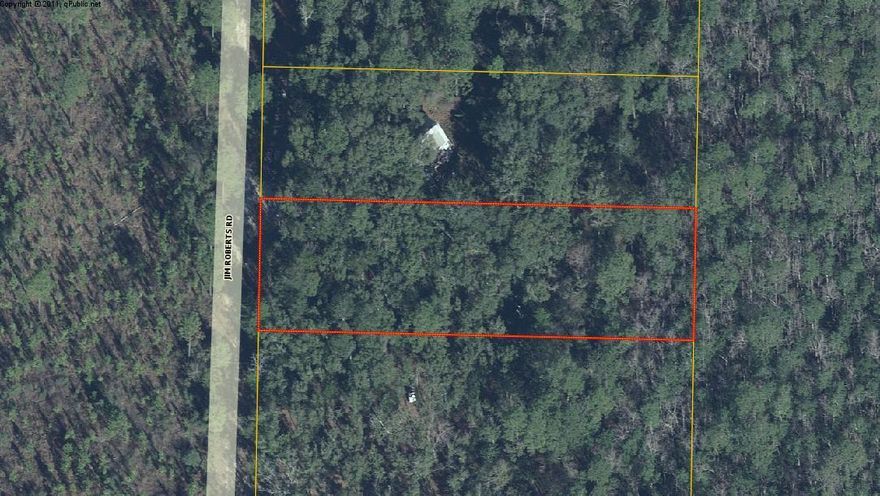 Great UNRESTRICTED lot located just outside of Freeport in the Bruce community! Close to fish camps and boat ramps, you will find this .76 lot. This private lot backs up to the Northwest Fl. Water Management District property that the Choctawhatchee River runs through. Excellent location, electricity in area! Call today for further information! Photos Coming Soon!