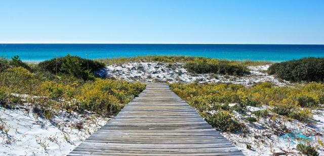 THE PRESERVE AT GRAYTON BEACH - Residential