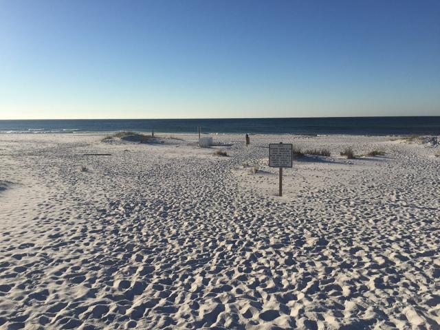 THE PRESERVE AT GRAYTON BEACH - Residential