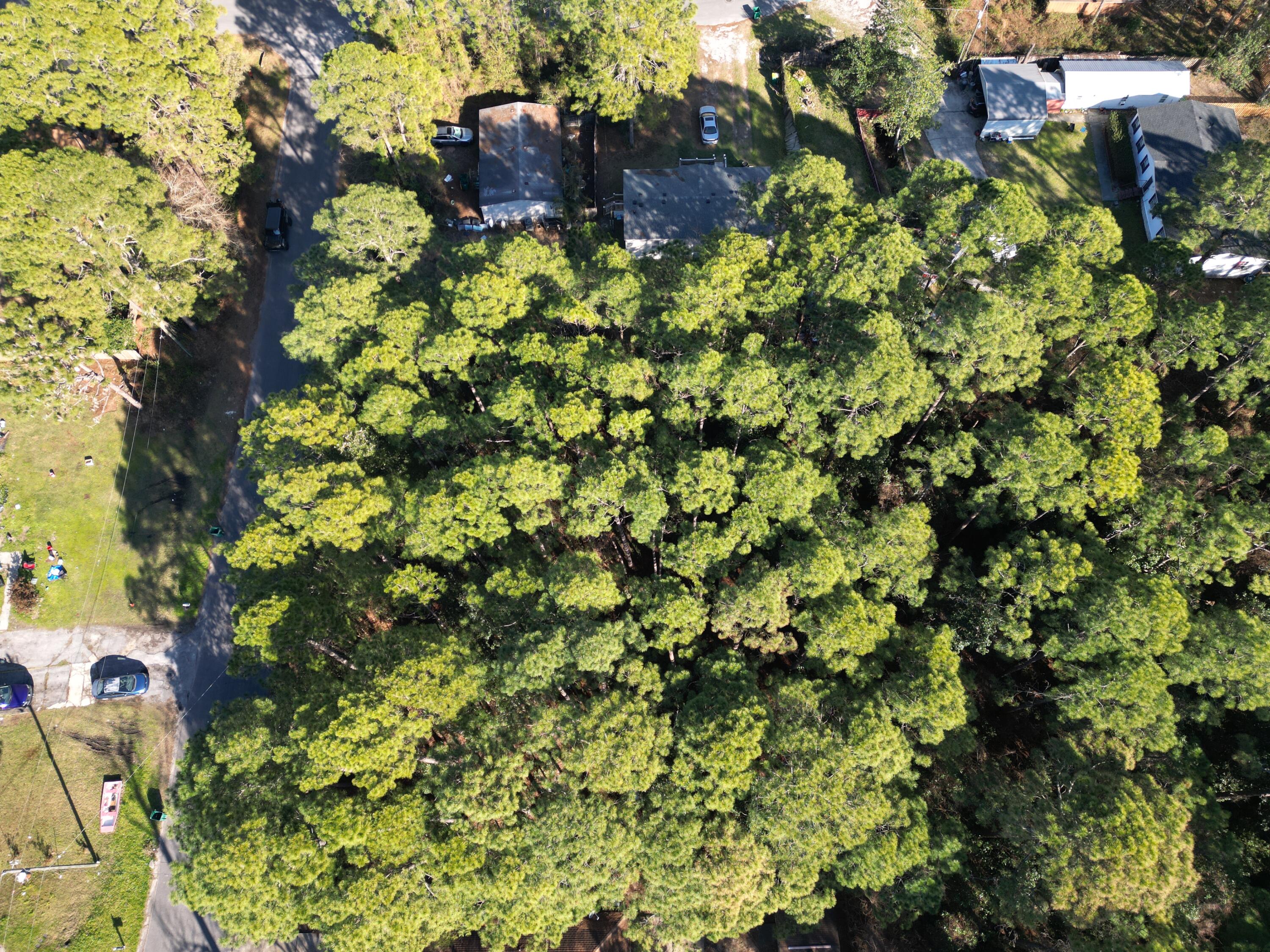 WYNNEHAVEN BCH ESTATES - Land