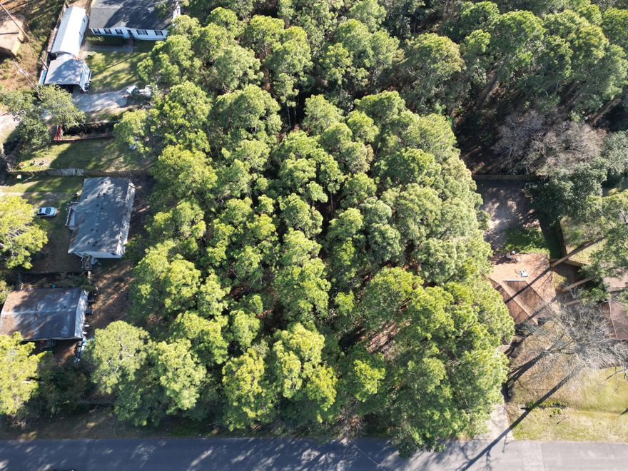 .23 acre lot in close proximity to Hurlburt. Raw lot zoned R-1 Utilities at the road, tap in fees are due. According to GIS map, flood zone X, no wetlands (NO study has been conducted), see photos for other pertinent information according to county GIS map. Owner has current appraisal in hand, will consider all offers. According to county zoning R1 allows Single-family, mobile/manufactured homes, see docs for more SETBACKS F 20ft B 10F sides 10ft. Adjoining lot is also available MLS #970090