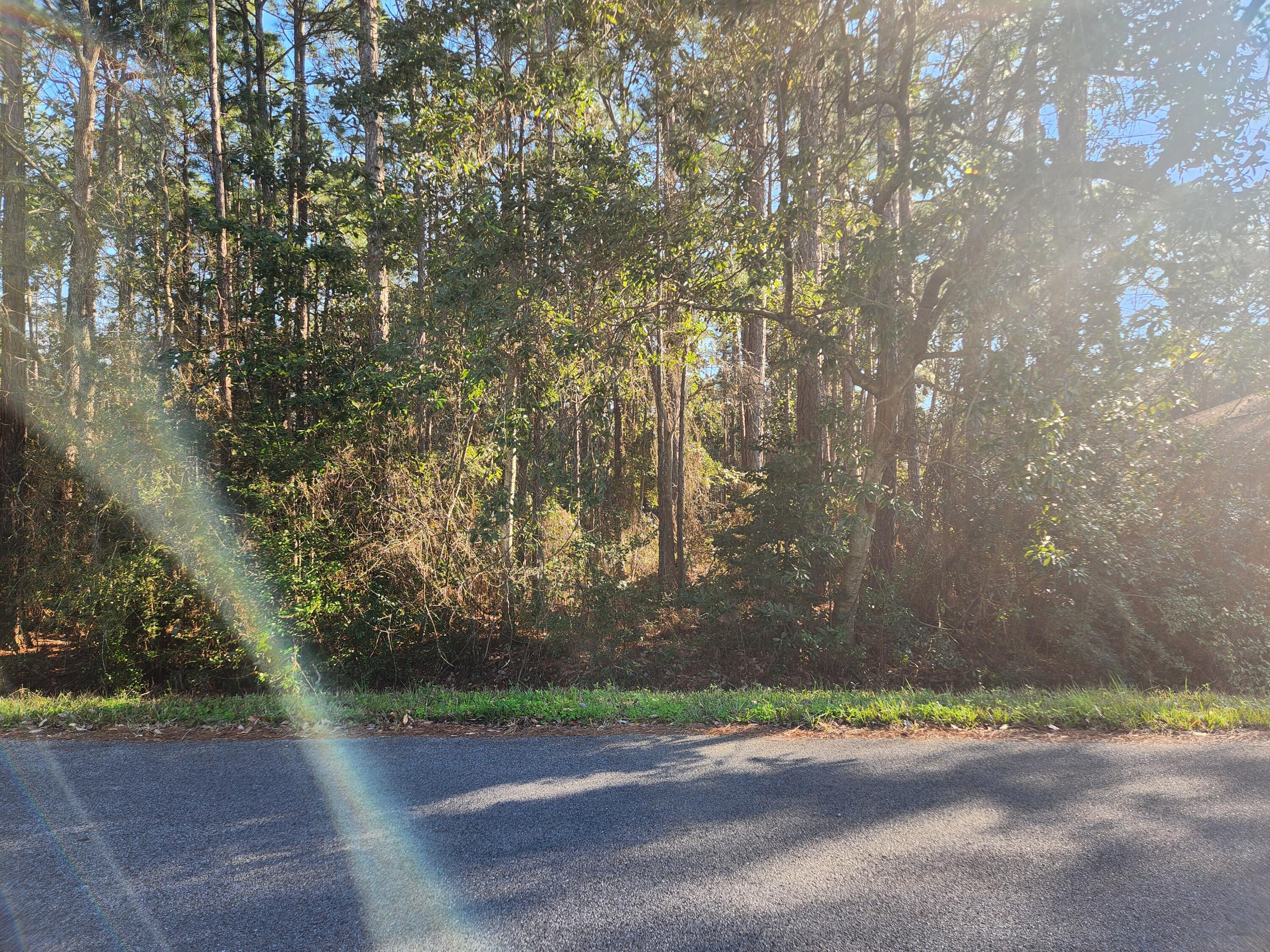 WYNNEHAVEN BCH ESTATES - Land