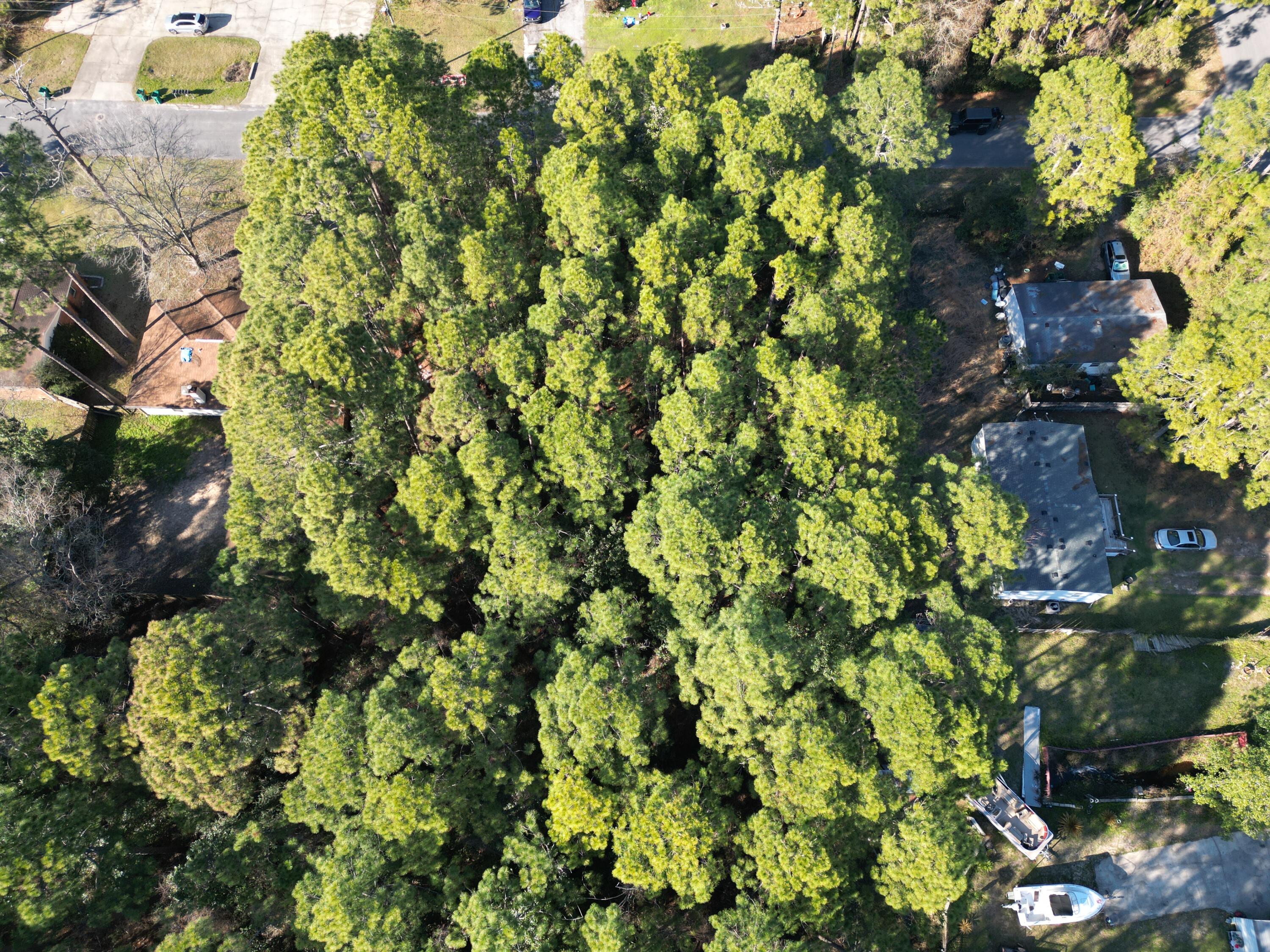 WYNNEHAVEN BCH ESTATES - Land