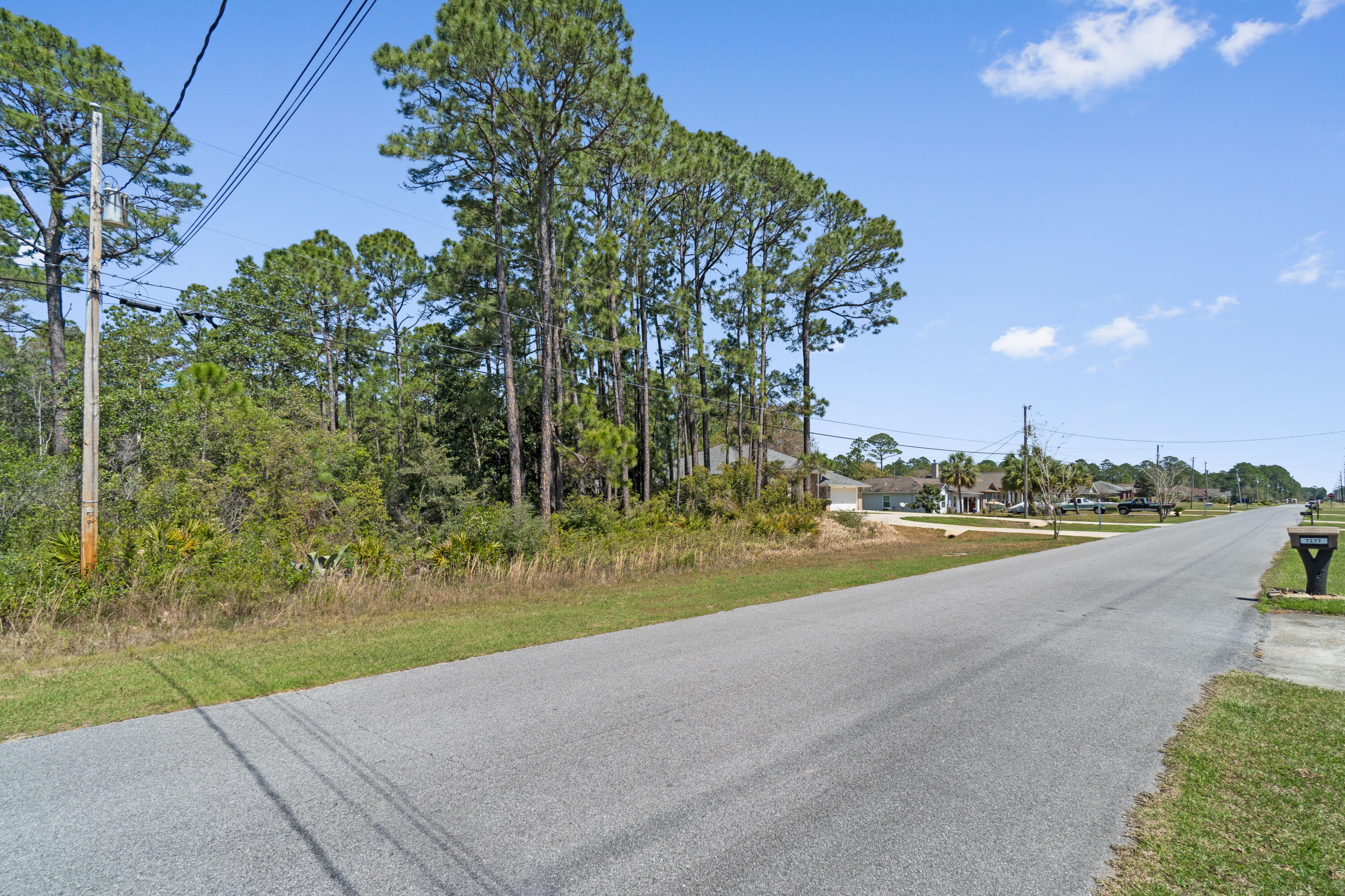 HOLLEY BY THE SEA - Land