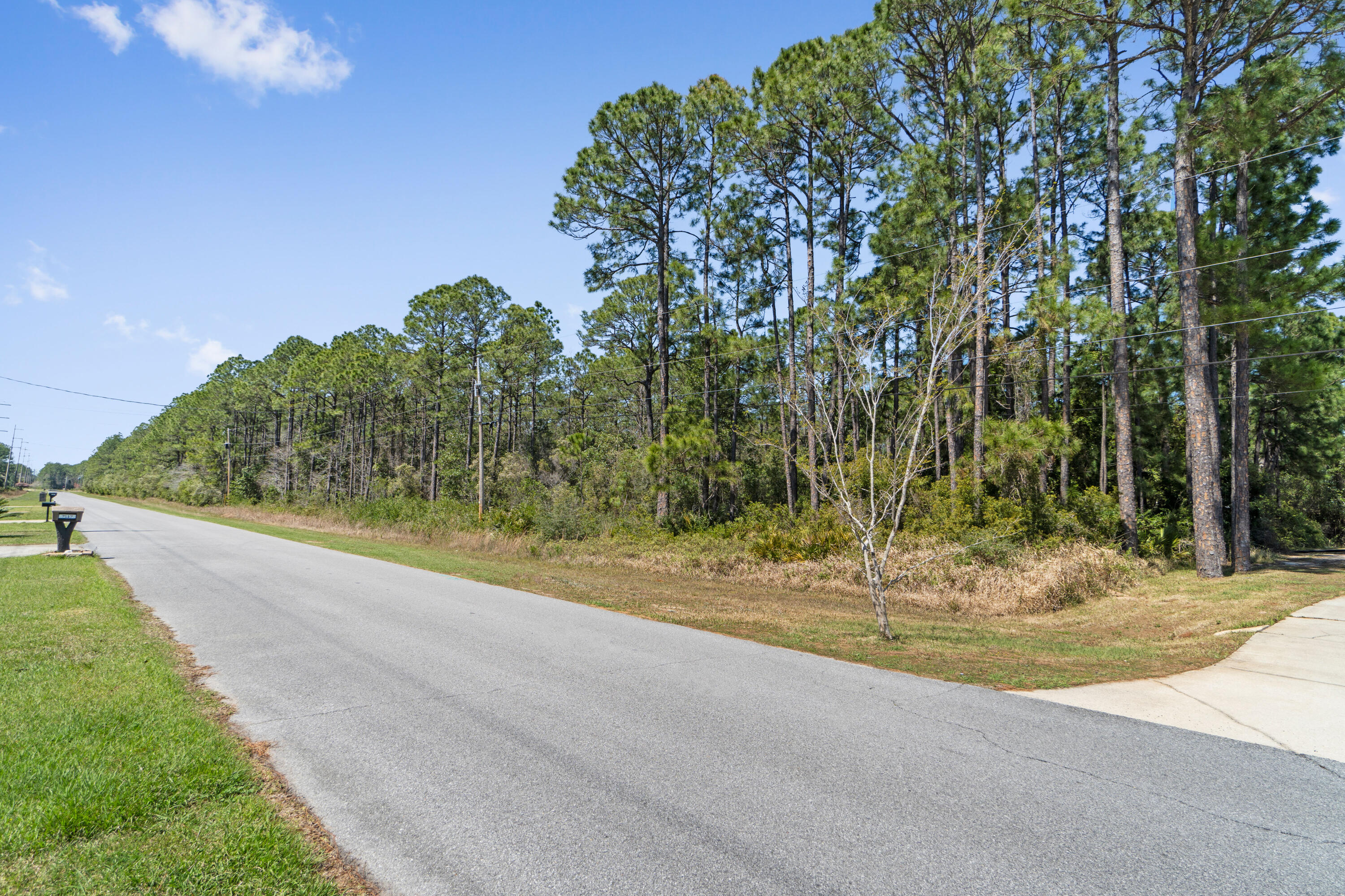 HOLLEY BY THE SEA - Land