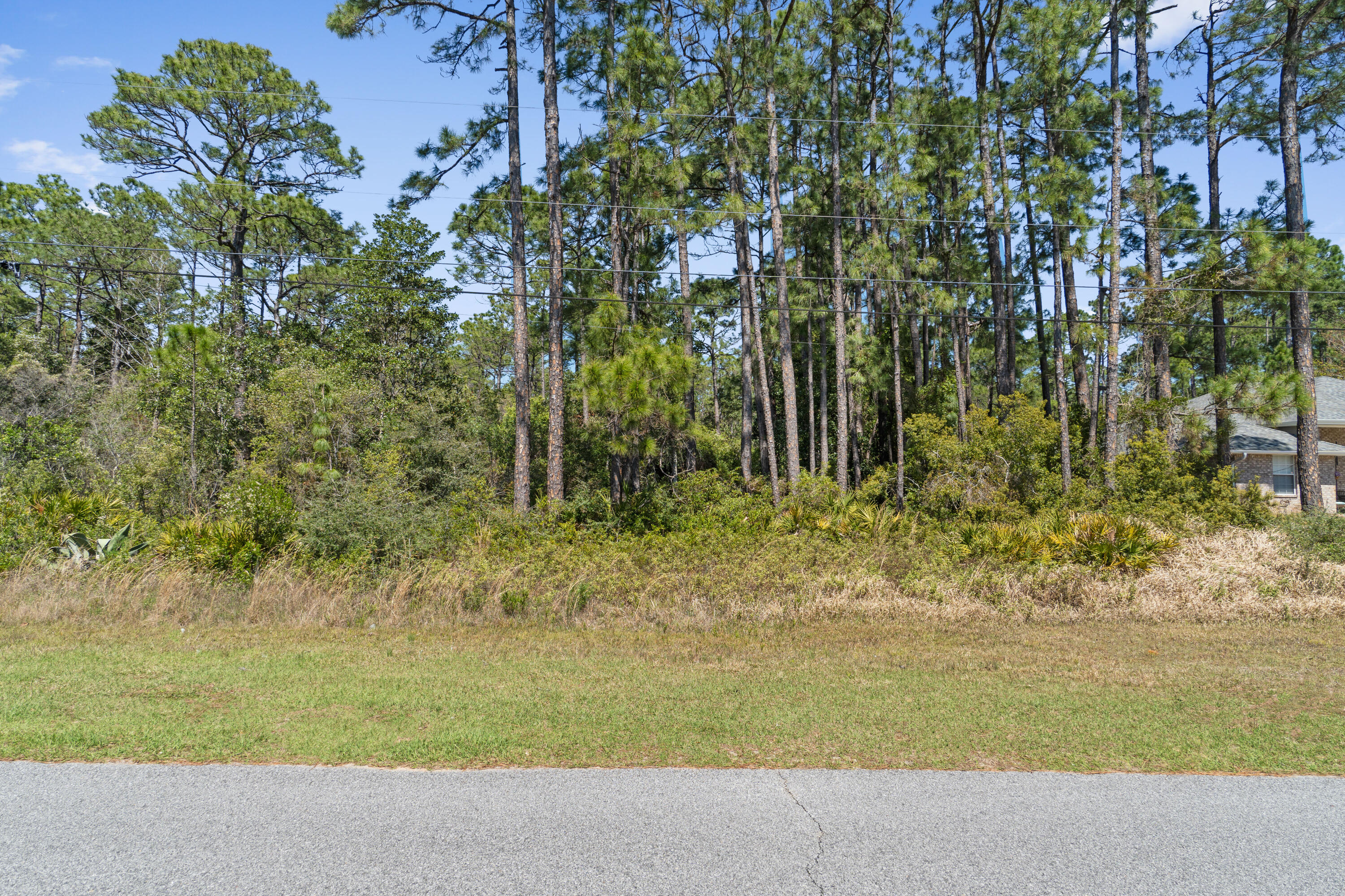 HOLLEY BY THE SEA - Land