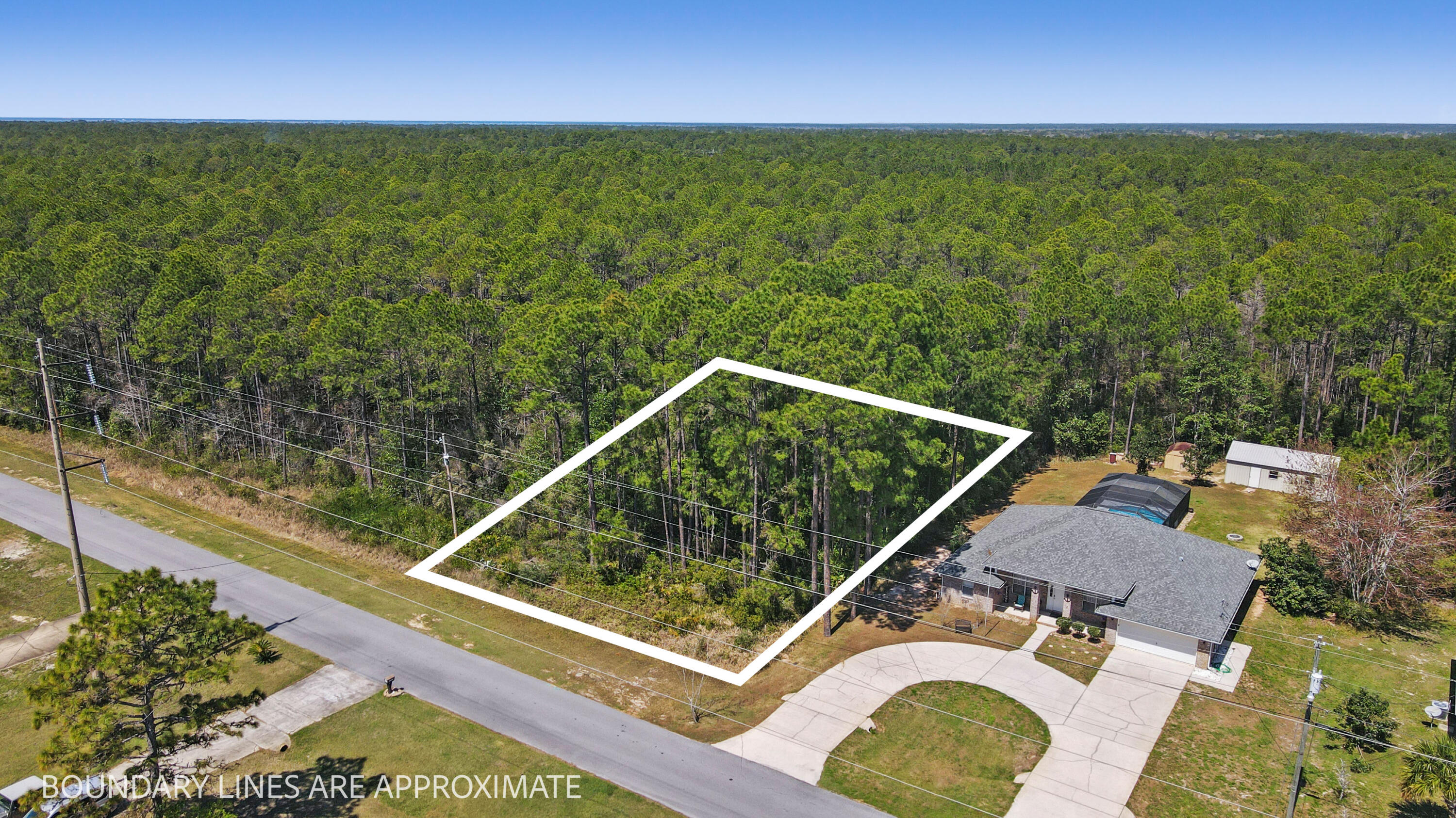 HOLLEY BY THE SEA - Land