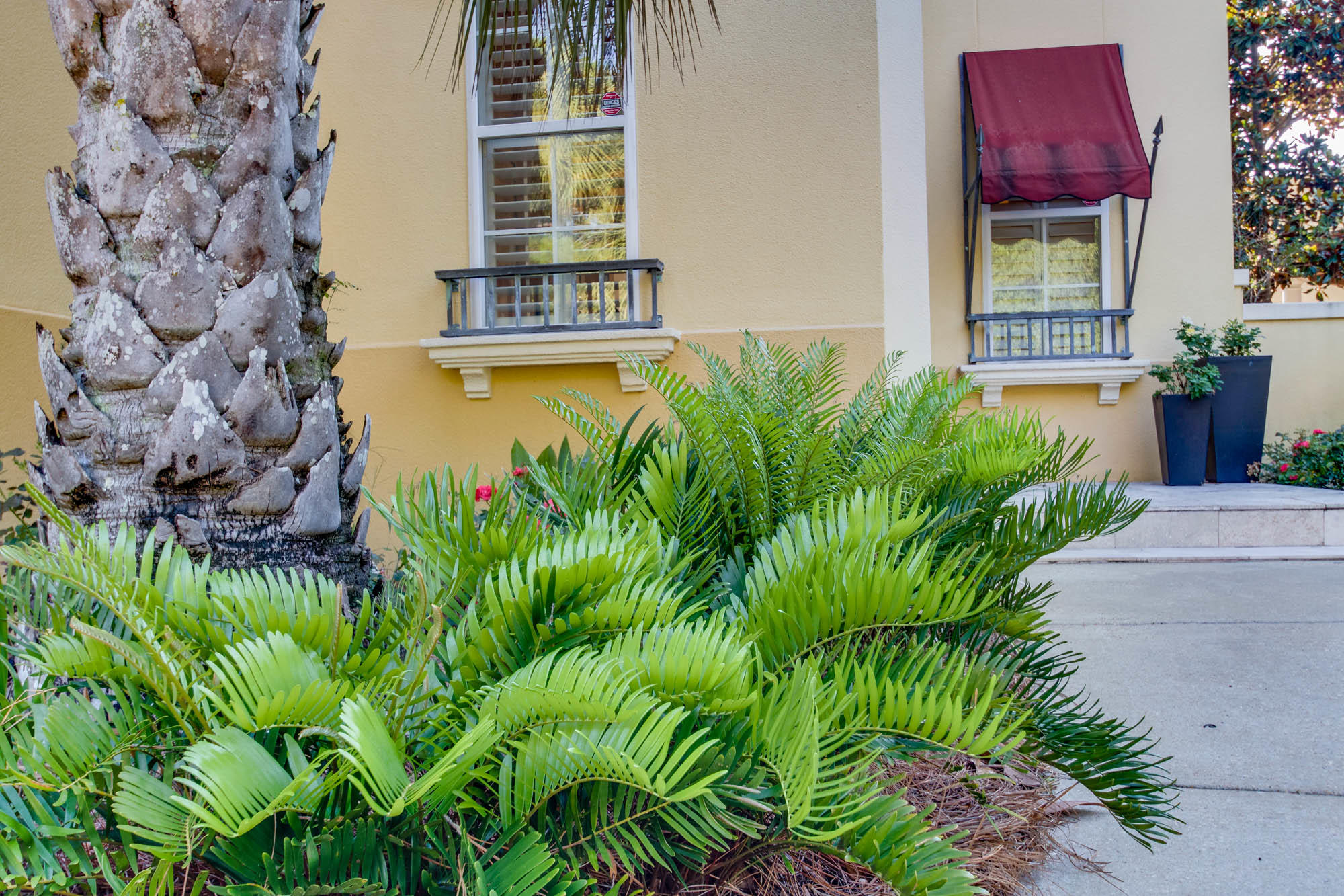 FOUNTAINS AT SANDESTIN - Residential