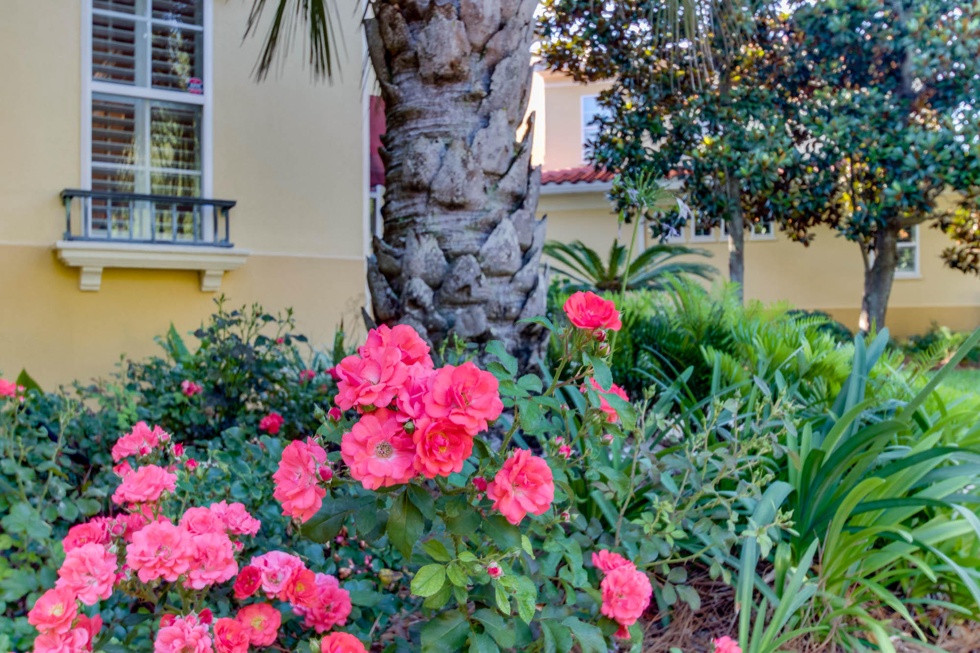 FOUNTAINS AT SANDESTIN - Residential