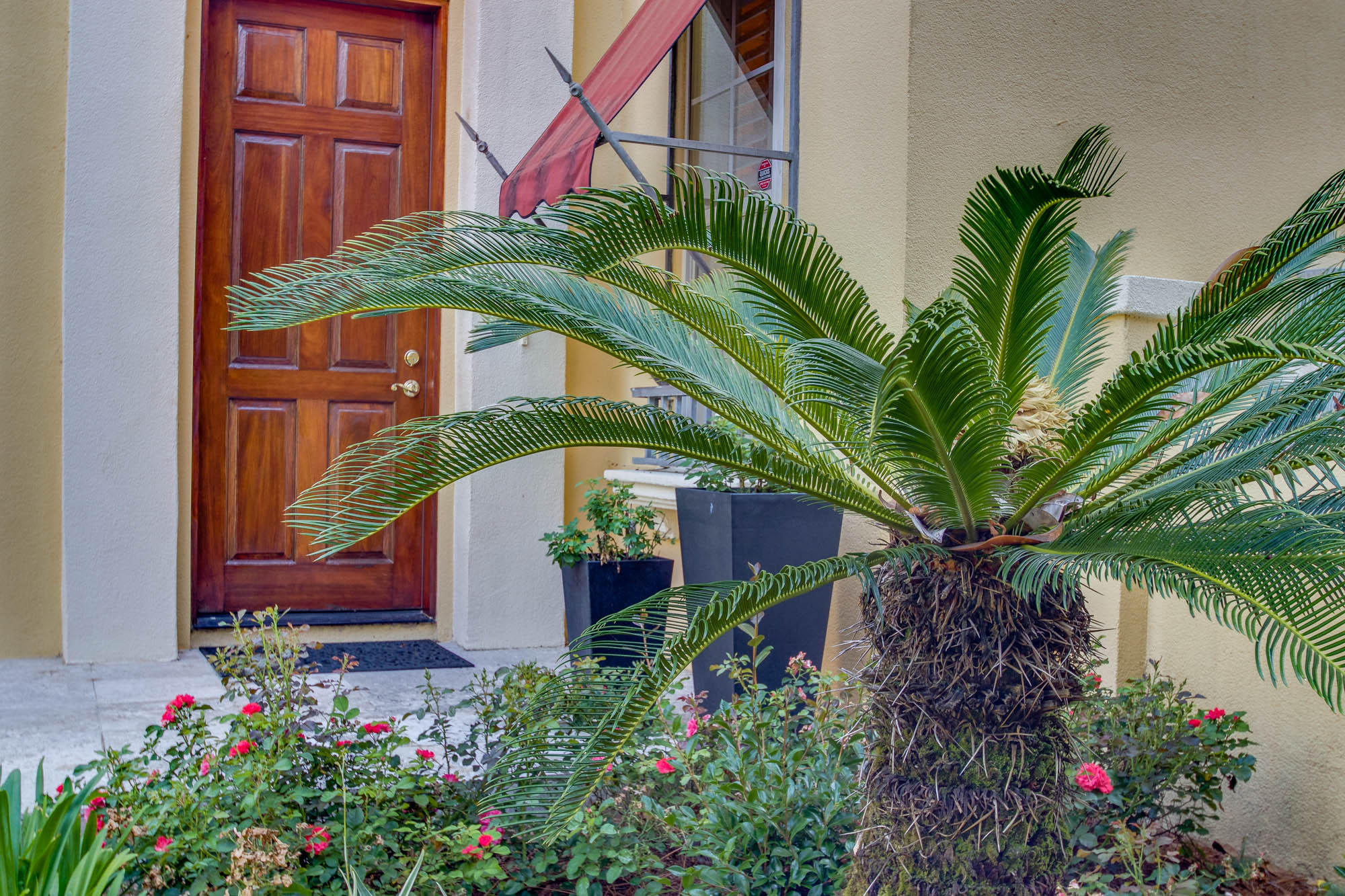 FOUNTAINS AT SANDESTIN - Residential