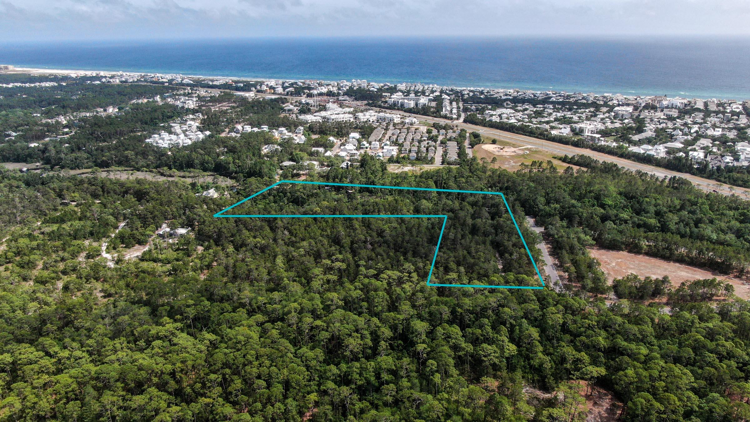 Inlet Beach Rattlesnake - Land