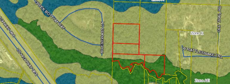 Inlet Beach Rattlesnake - Land