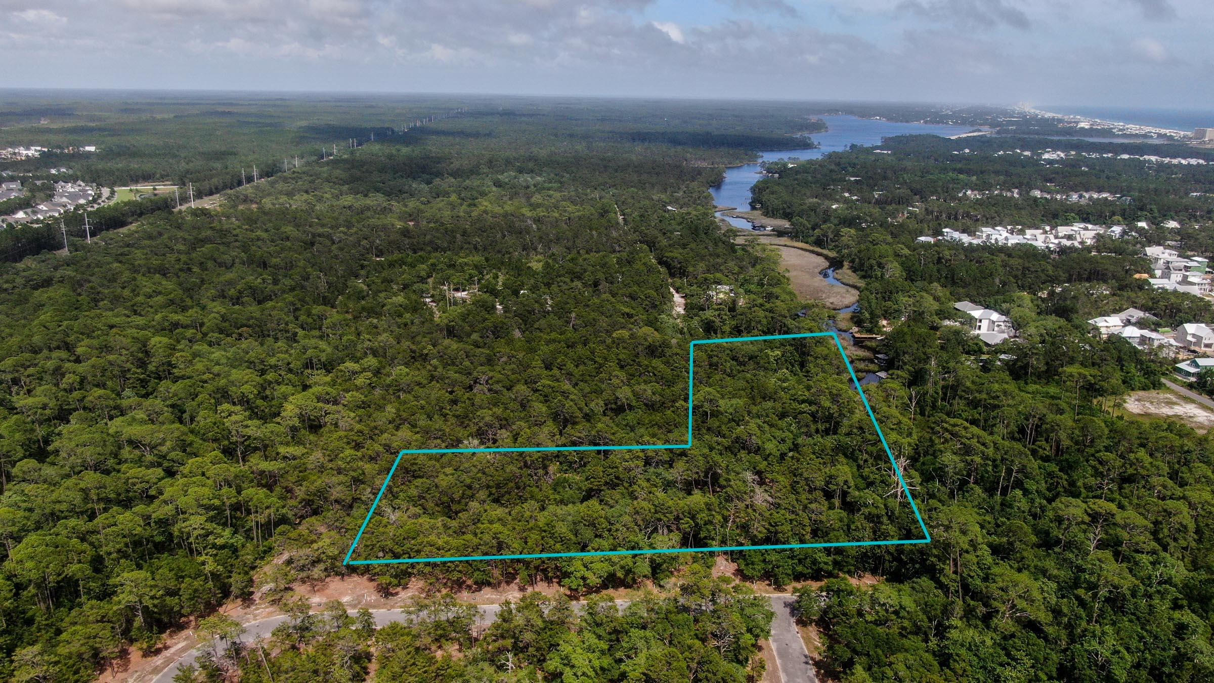 Inlet Beach Rattlesnake - Land