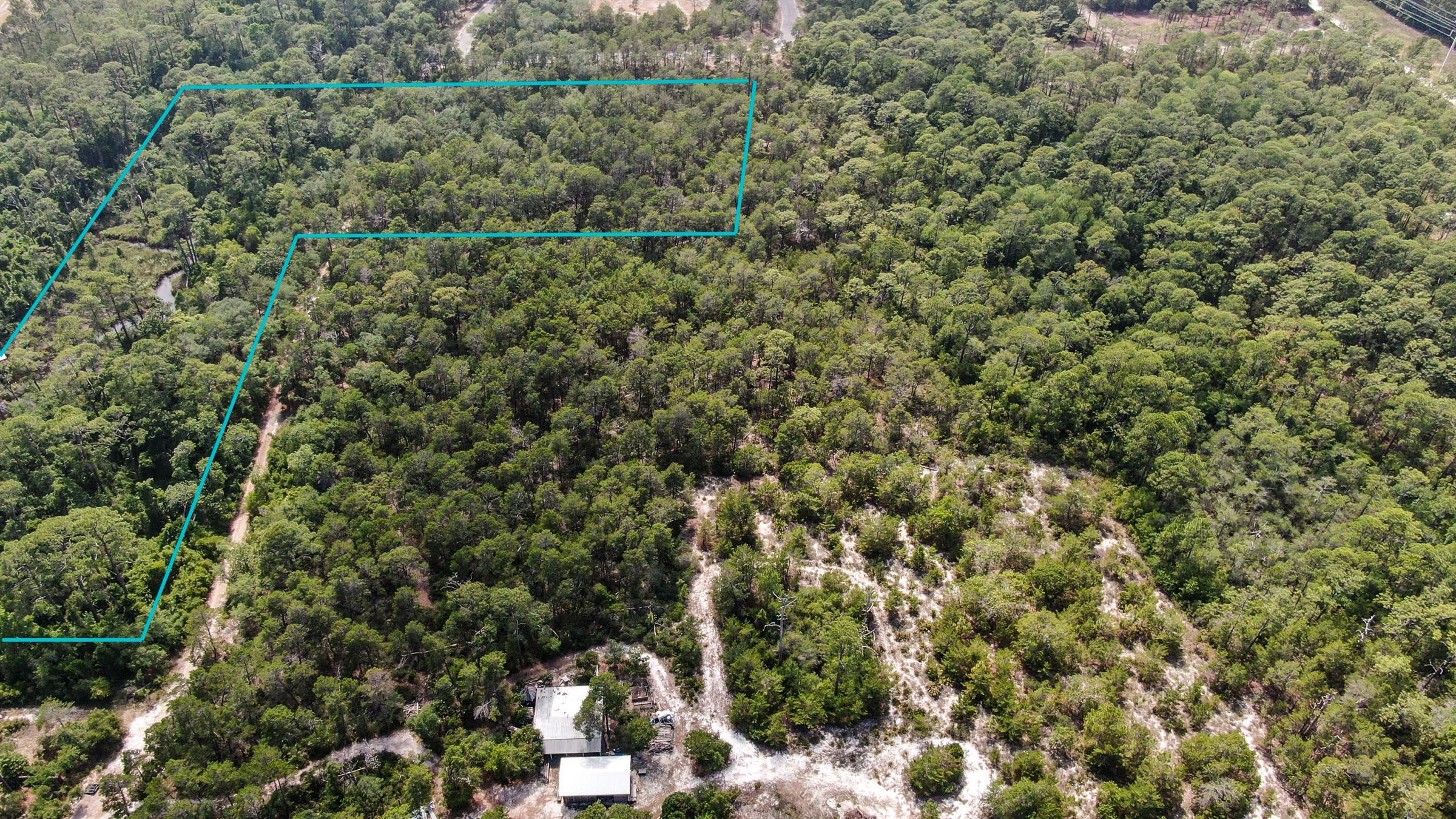 Inlet Beach Rattlesnake - Land