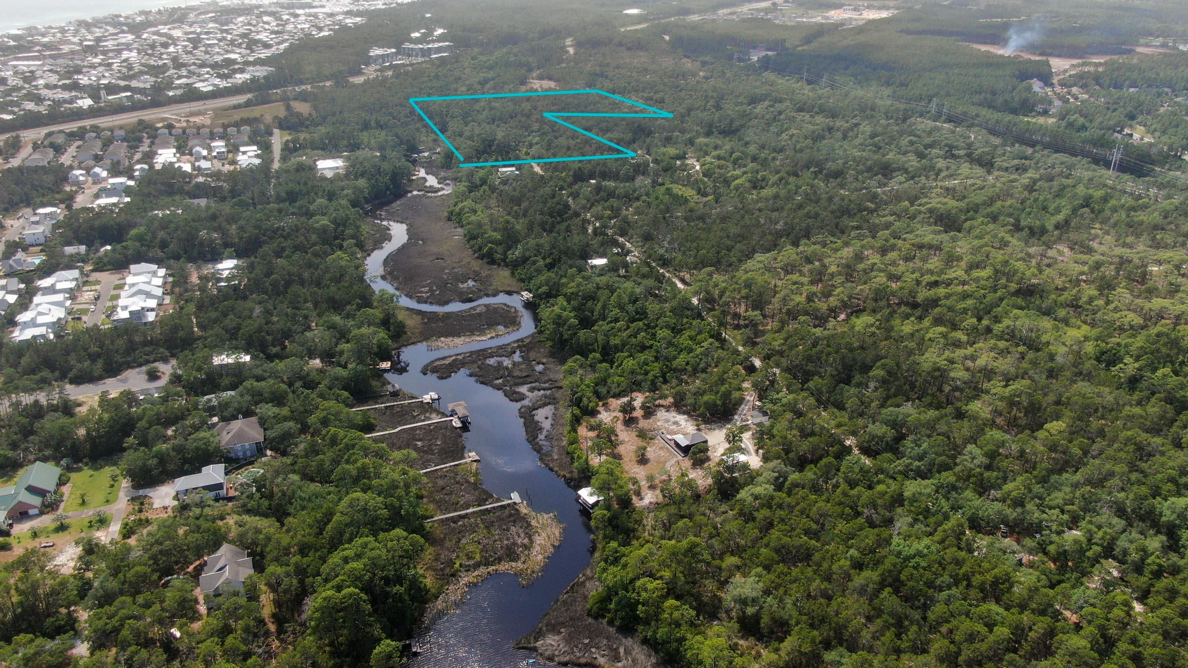 Inlet Beach Rattlesnake - Land