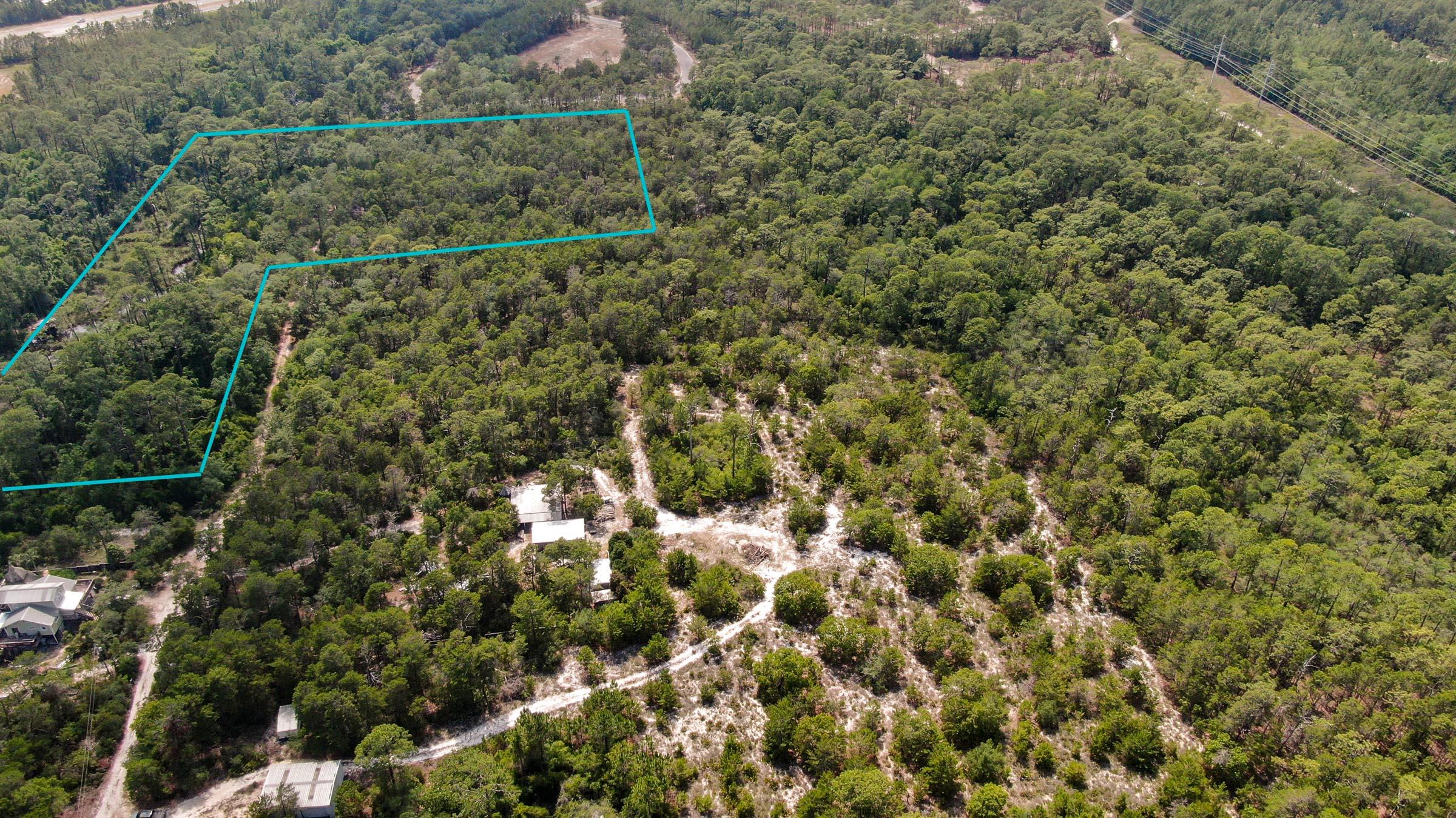 Inlet Beach Rattlesnake - Land