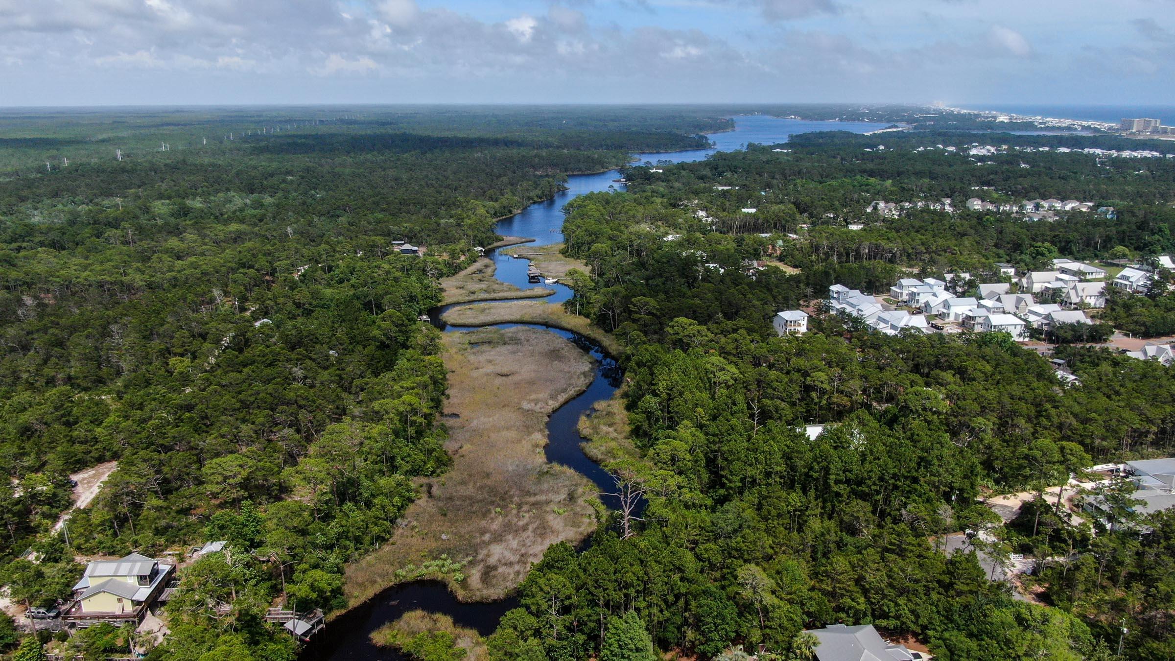 Inlet Beach Rattlesnake - Land