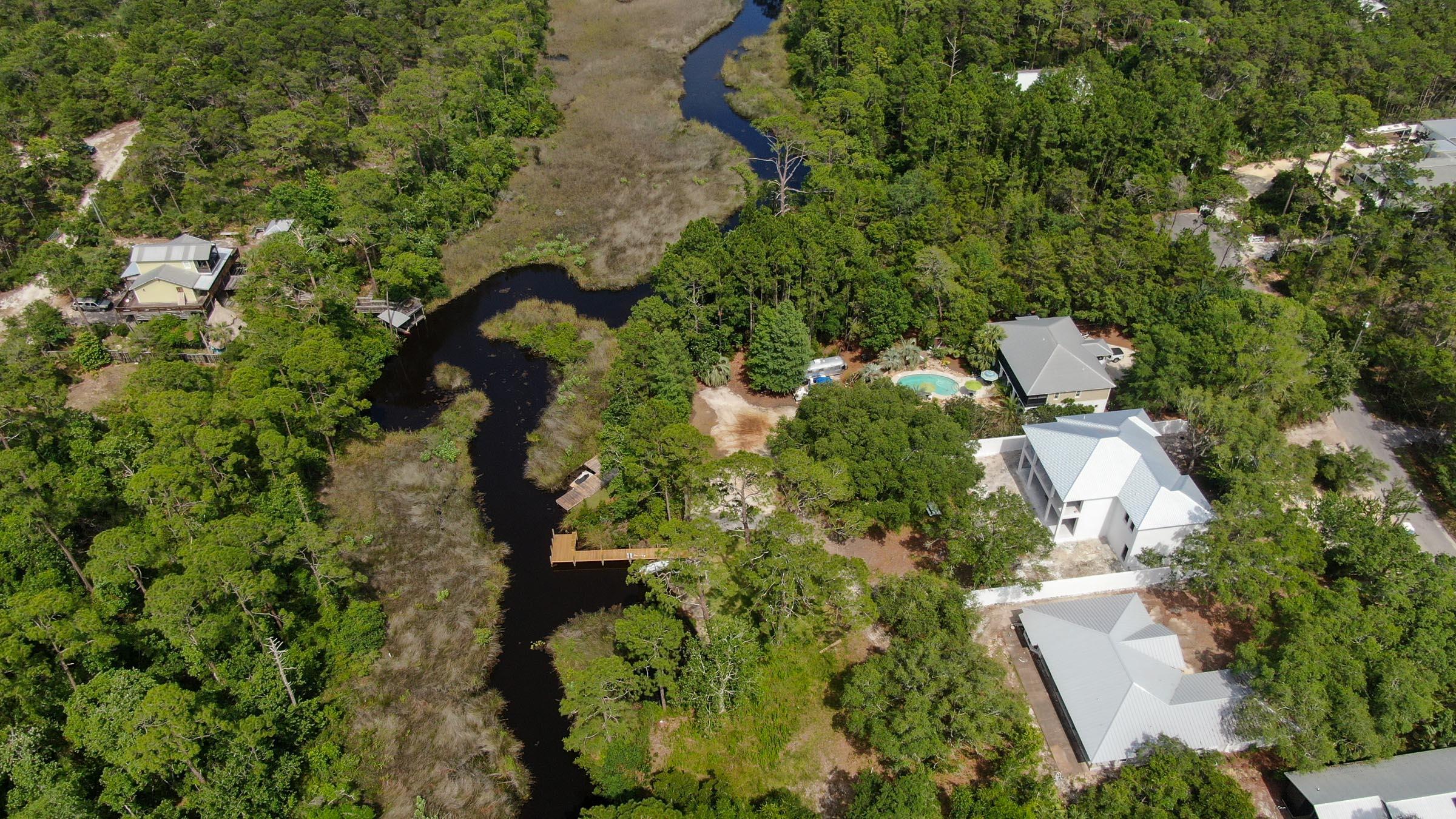 Inlet Beach Rattlesnake - Land