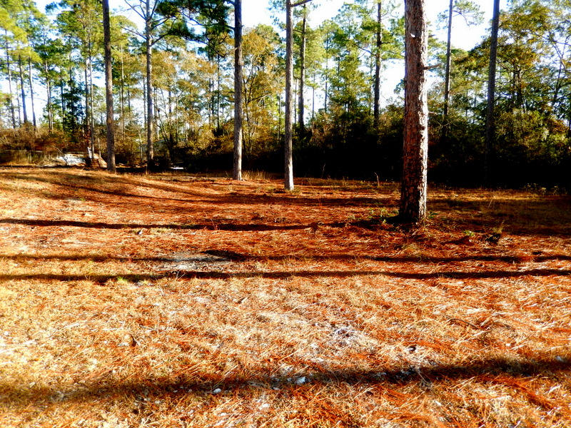 FOX DEN - Residential