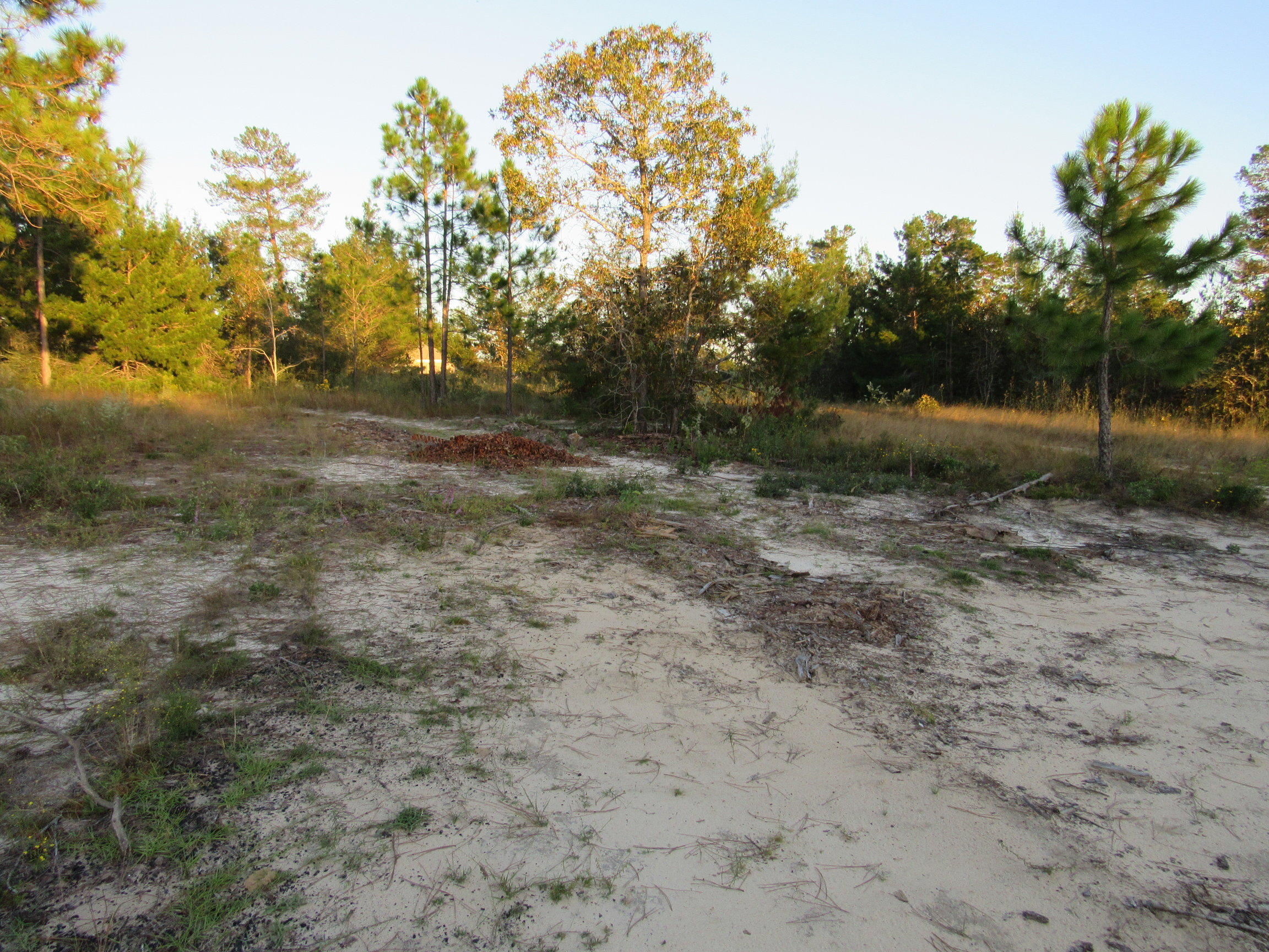 WINDSWEPT ESTATES - Land