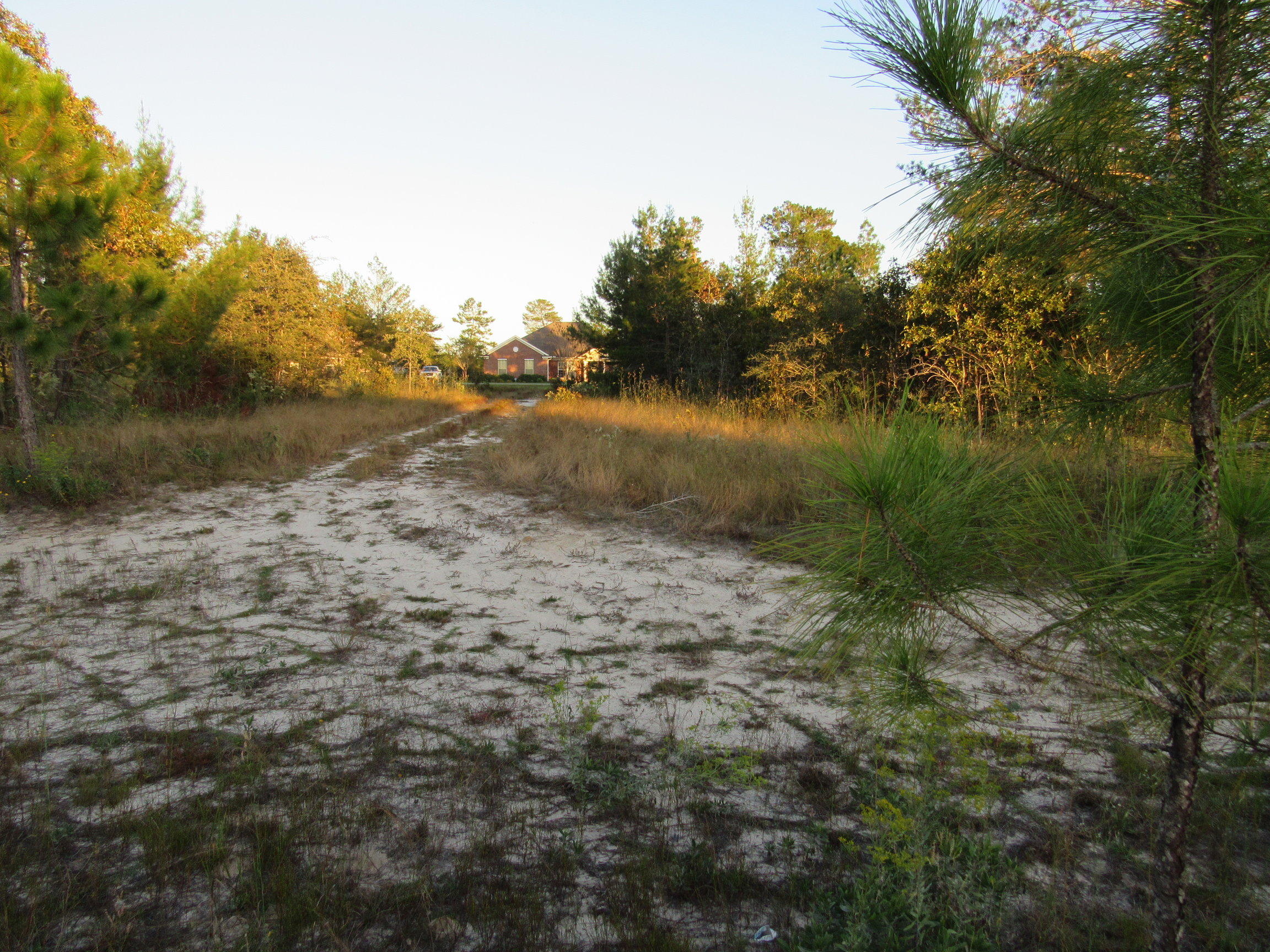 WINDSWEPT ESTATES - Land