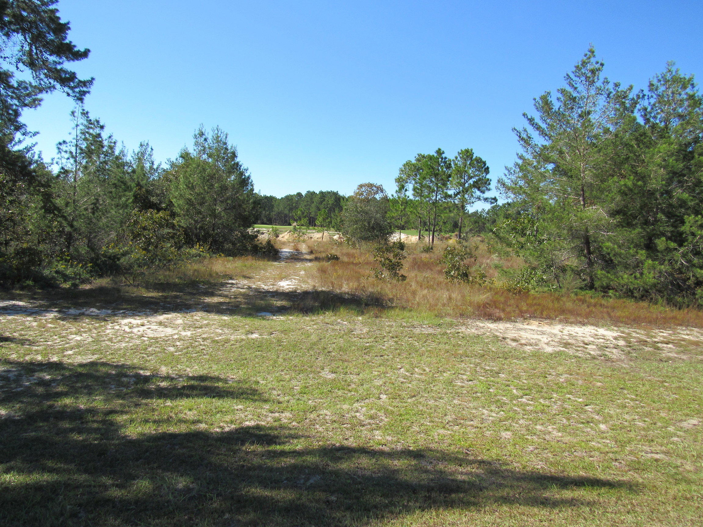 WINDSWEPT ESTATES - Land