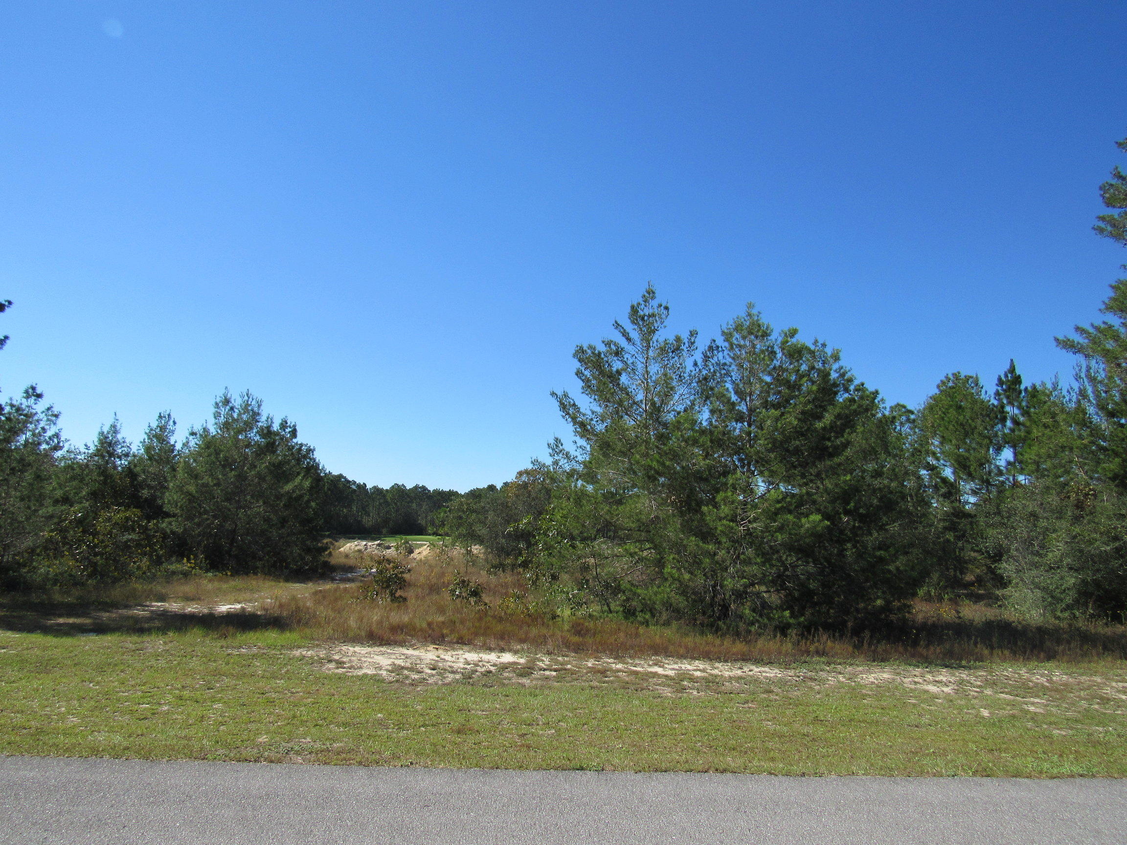 WINDSWEPT ESTATES - Land