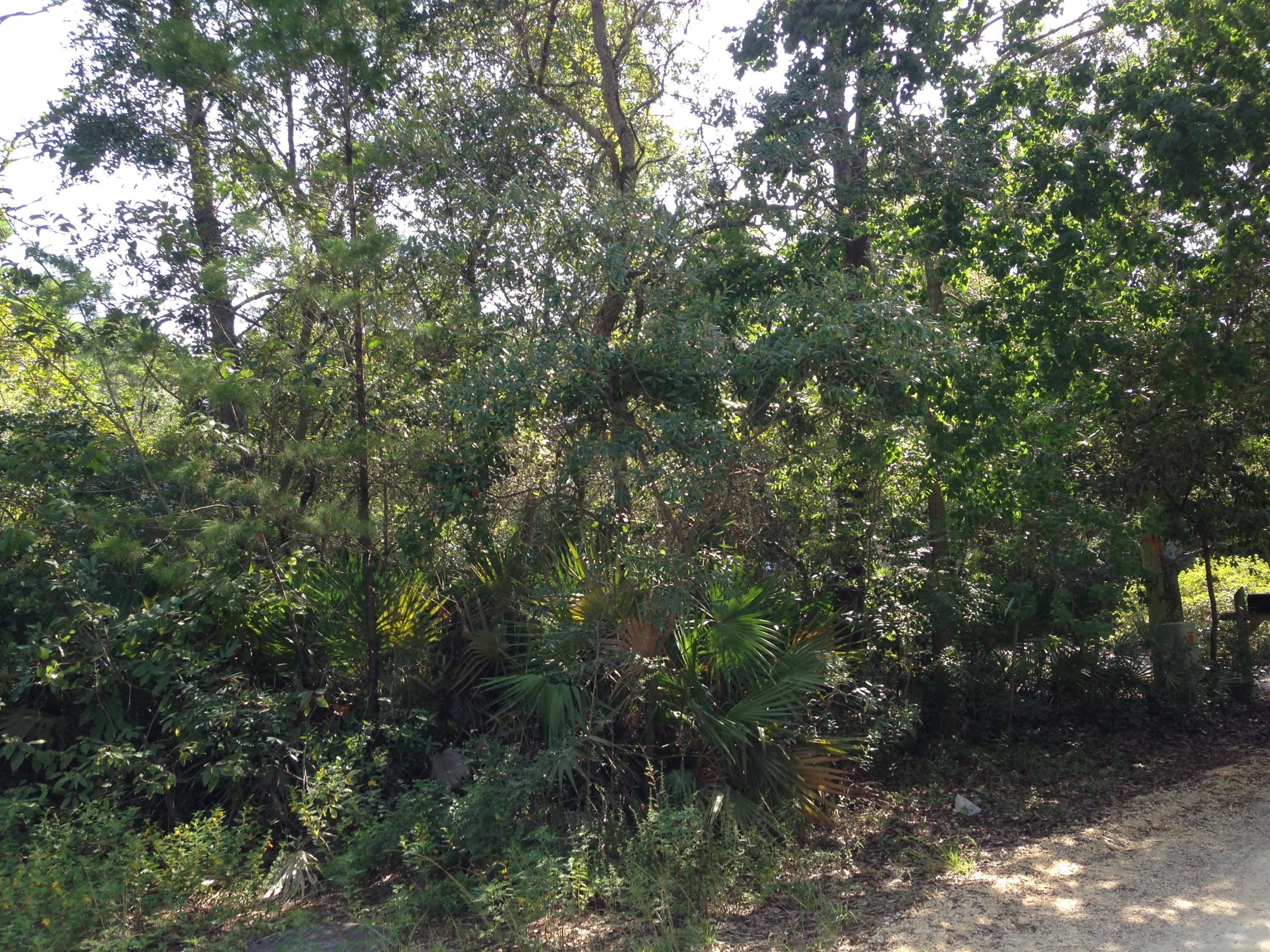 SEAGROVE 5TH ADDN - Land